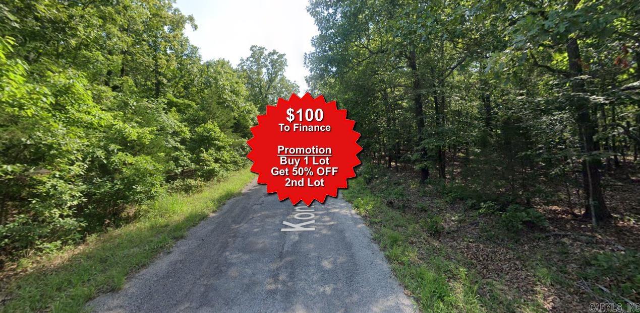Buy one lot and get 50% off an additional lot! Owner-finance for easy terms. Cash buyers can pay by debit or credit card as well. Nice lot to develop or hold for future value. Public water and electric are available to run to property and will need septic. Owner/agent. No mobiles allowed. 1000 minimum build size on any other type of home, depending on subdivision. Finance is $100 down and 10 months at $99 and closing costs are included. Lots marked with red banner are part of promotion. No limit on lots. Buyer responsible for any/all taxes and lots sold "as-is". Quit claim deed conveys. Parcel ID# 355-19767-000