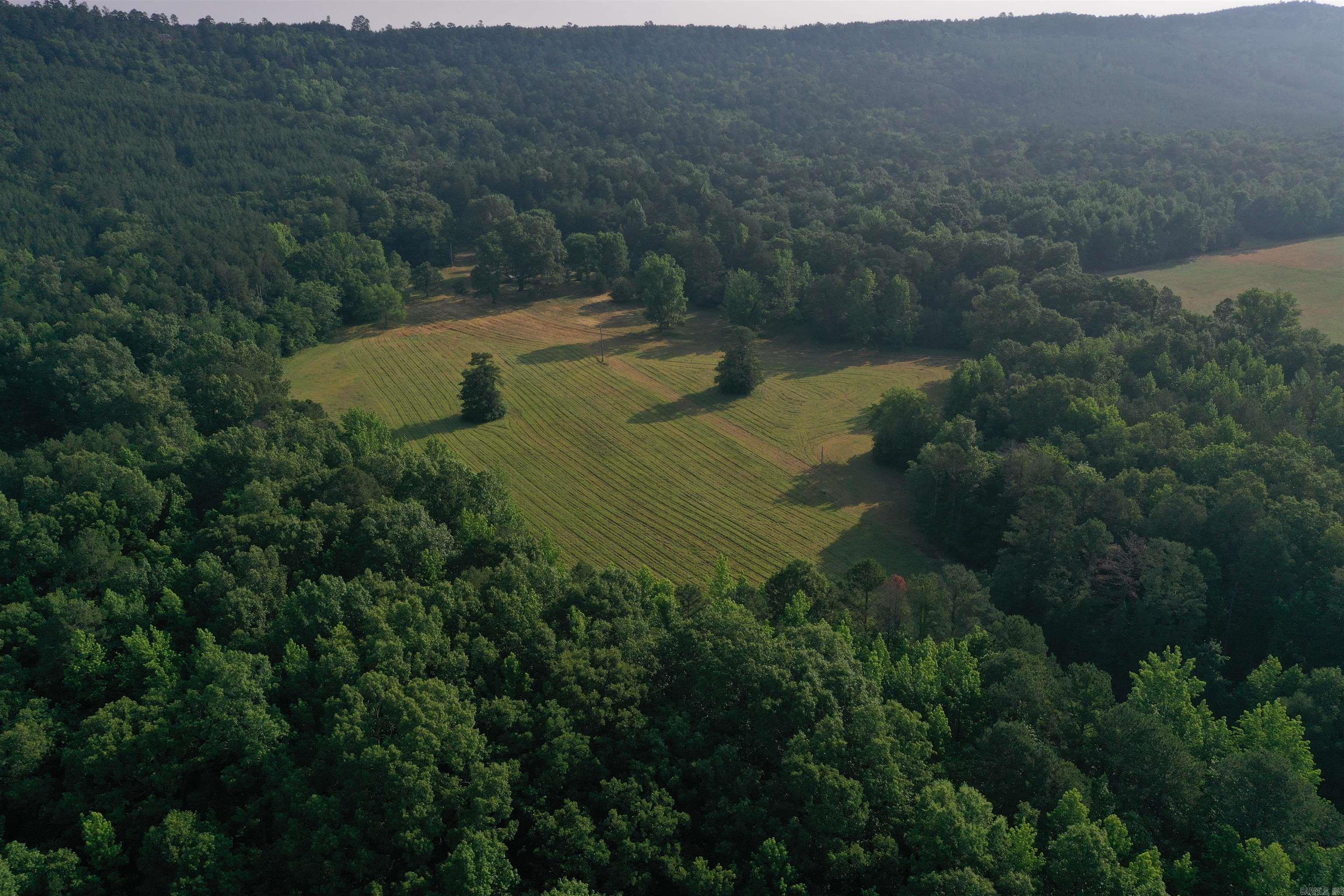 ⢠86 +/- acres ⢠10 +/- acres of Pasture, remaining balance in timber ⢠Beautiful cleared homesite ⢠Electricity ⢠Fiberoptic internet ⢠Water well ⢠RV Hookup ready to use ⢠Metal Carport ⢠Metal Storage Building ⢠Pond ⢠Redneck hunting blind ⢠Deer feeders ⢠Dead-end gravel road ⢠Gated entrance ⢠Wet weather creeks
