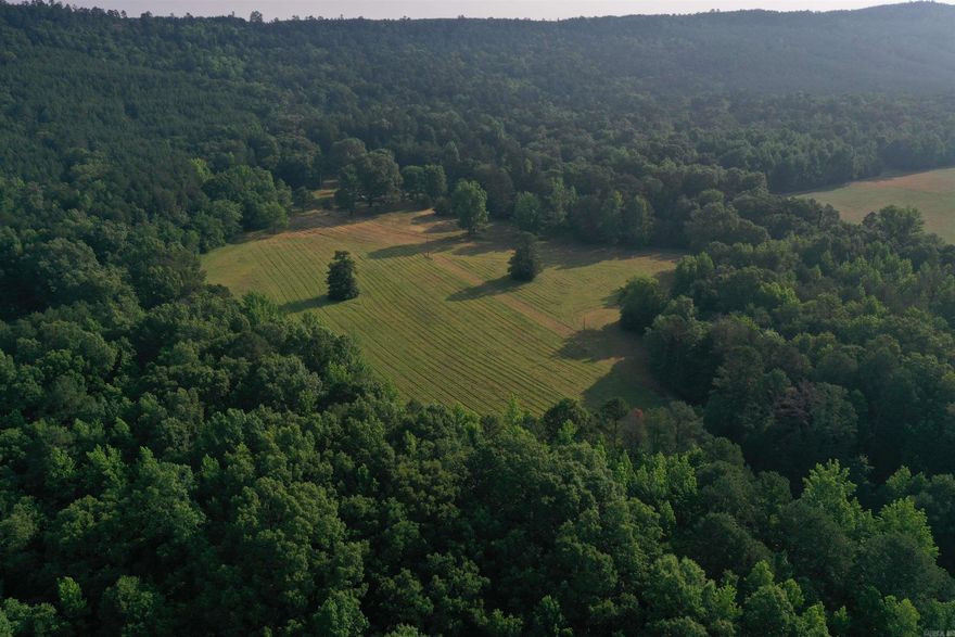 • 86 +/- acres • 10 +/- acres of Pasture, remaining balance in timber • Beautiful cleared homesite • Electricity • Fiberoptic internet • Water well • RV Hookup ready to use • Metal Carport • Metal Storage Building • Pond • Redneck hunting blind • Deer feeders • Dead-end gravel road • Gated entrance • Wet weather creeks