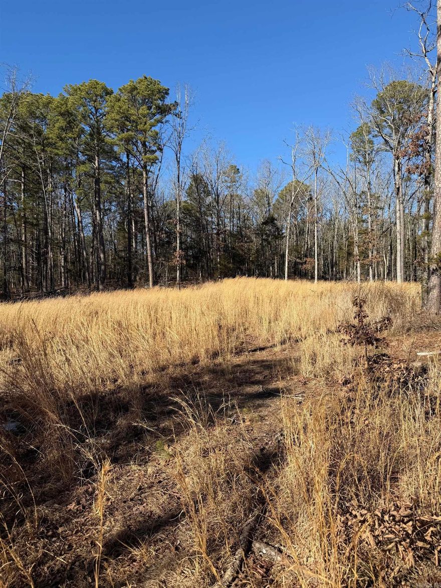 Are you looking for land that has an amazing view with wooded and a clear spot for your new home? Hunting, Building or just relaxing in the country!