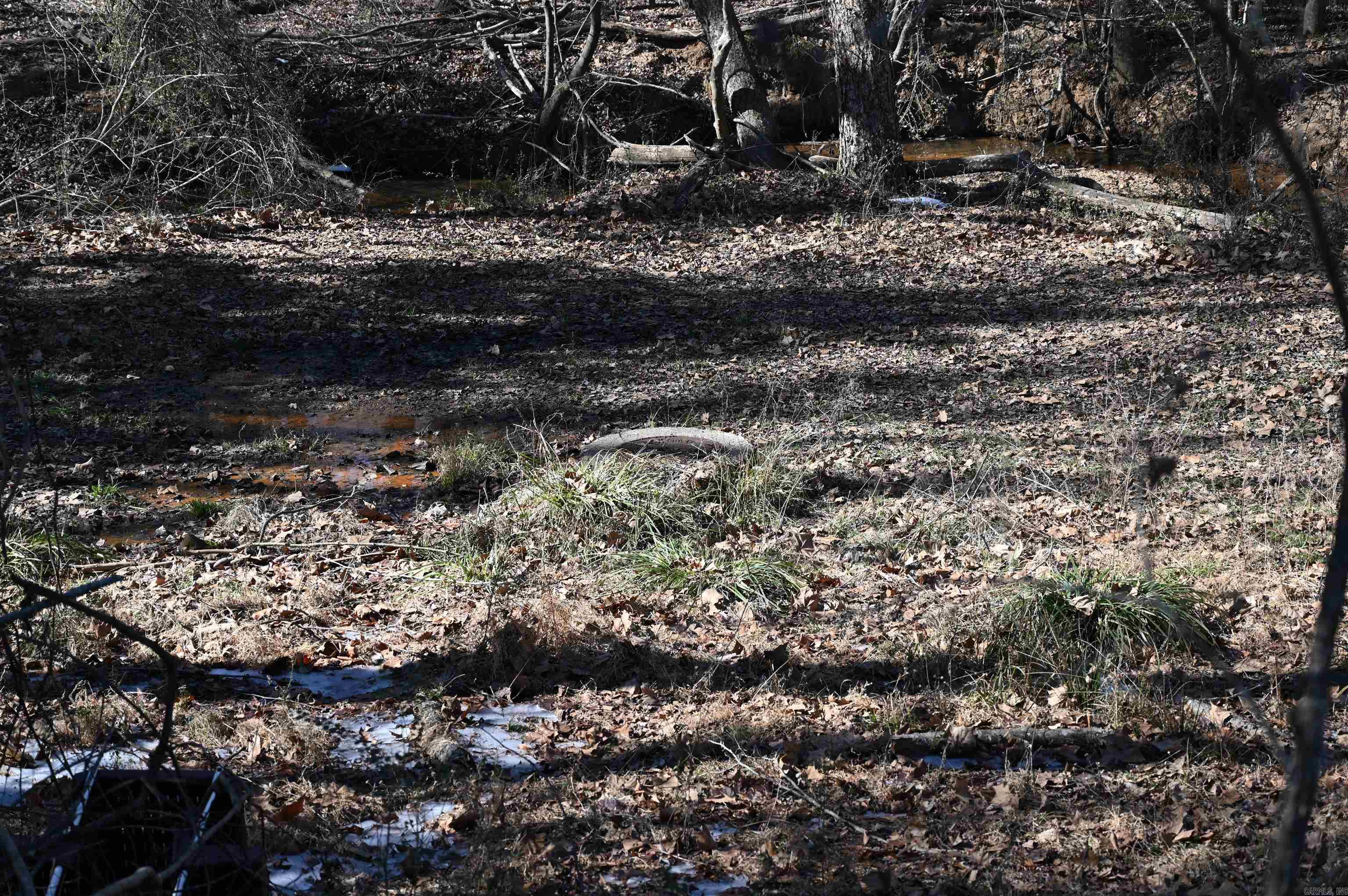 Fleming - Commercial Sale