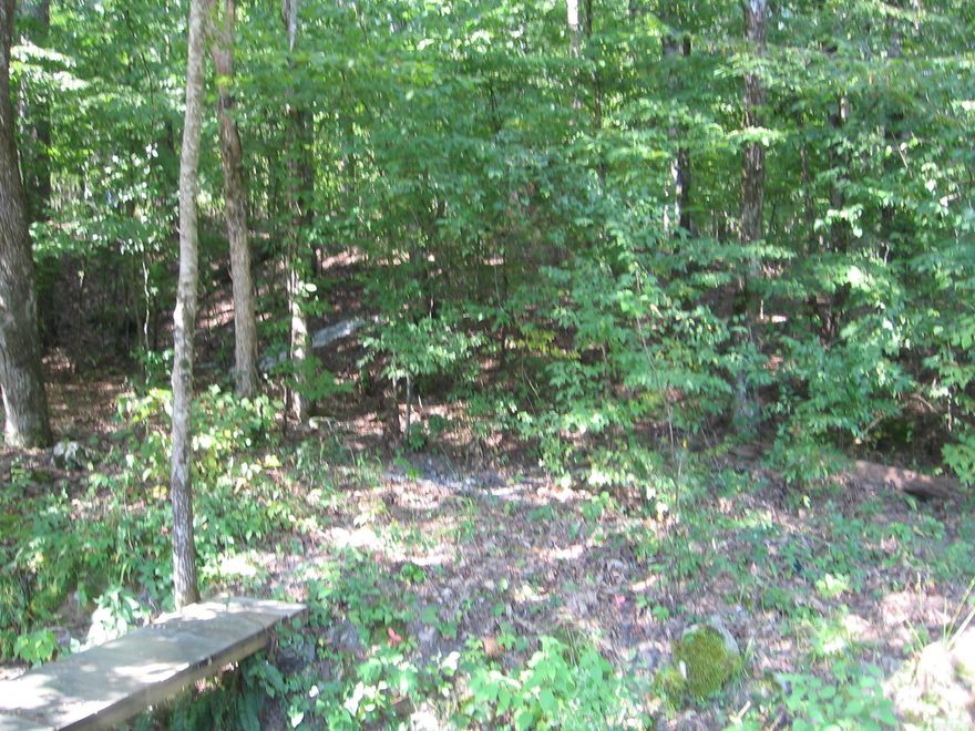 EASY BUILDABLE LOT JUST A FEW BLOCKS FROM LAKE DESOTO. CLOSE TO DESOTO GOLF COURSE AND ONLY 3 MILES FROM WEST GATE & SHOPPING.  CHECK IT OUT.