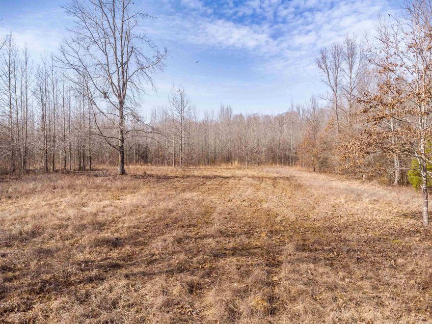 6.56+/- acres with a clearing for a house near the pond.  Perfect location for your home.  No restrictions  This is tract 3, tract 2 is also available (25049361)