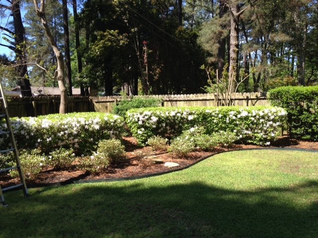 Golf View Q - Residential