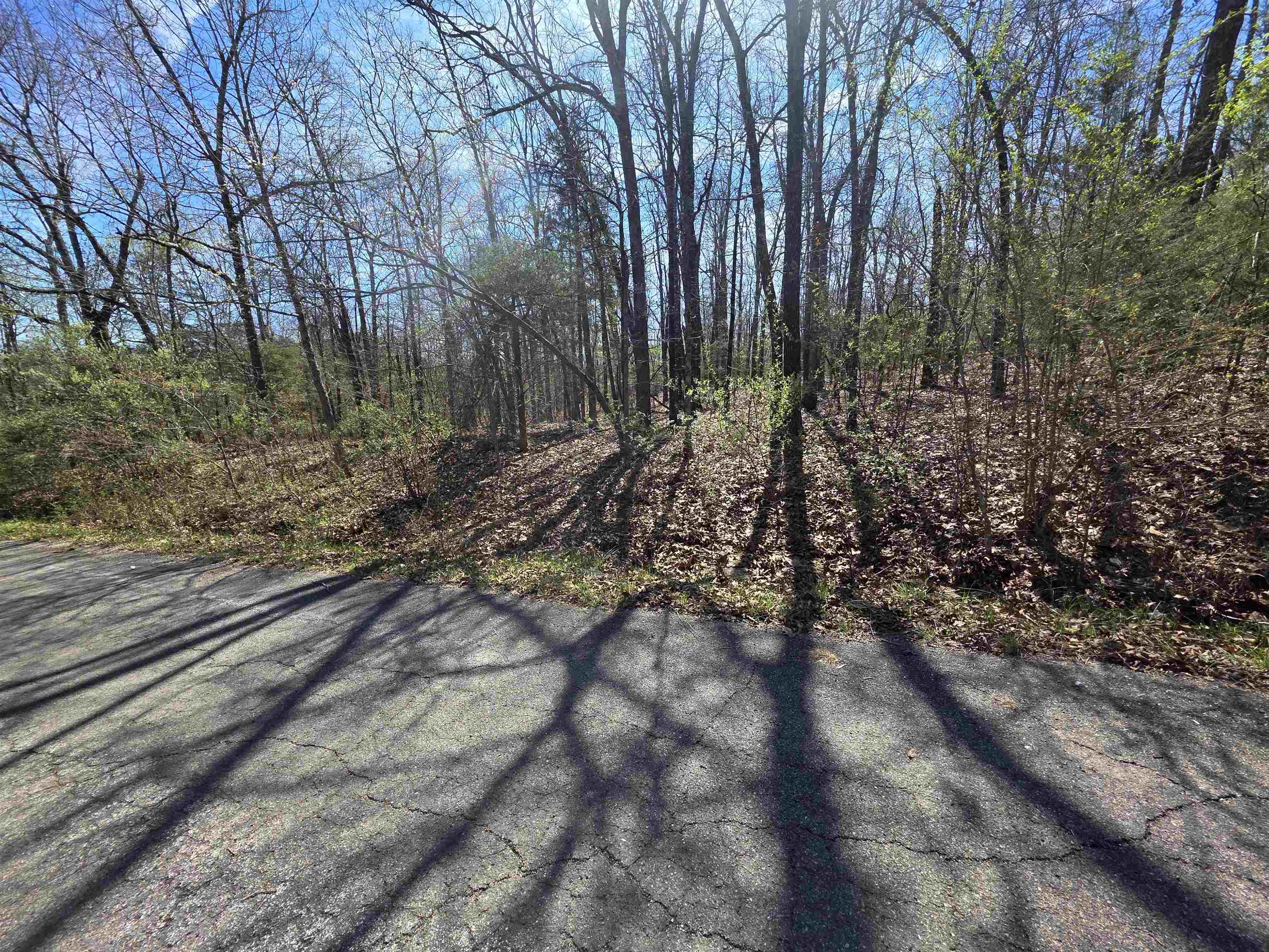 Seminole Second - Land