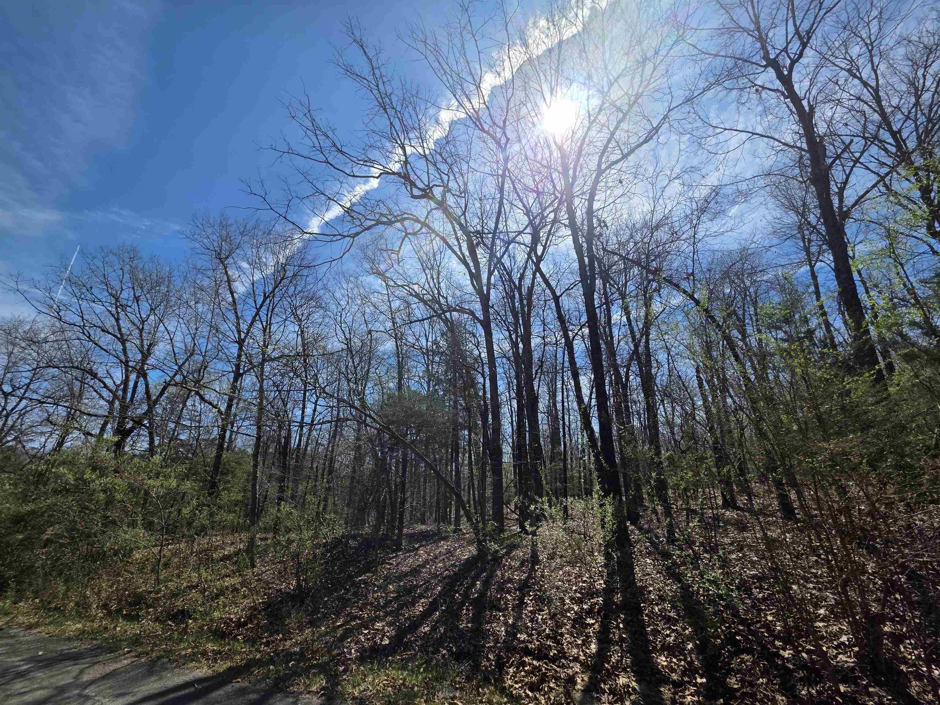 Seminole Second - Land