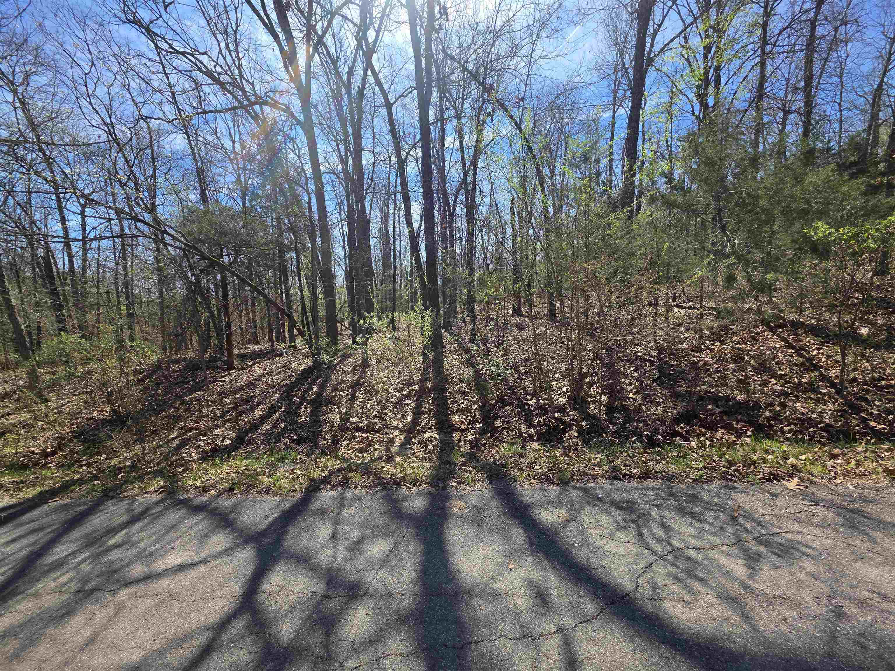 Seminole Second - Land