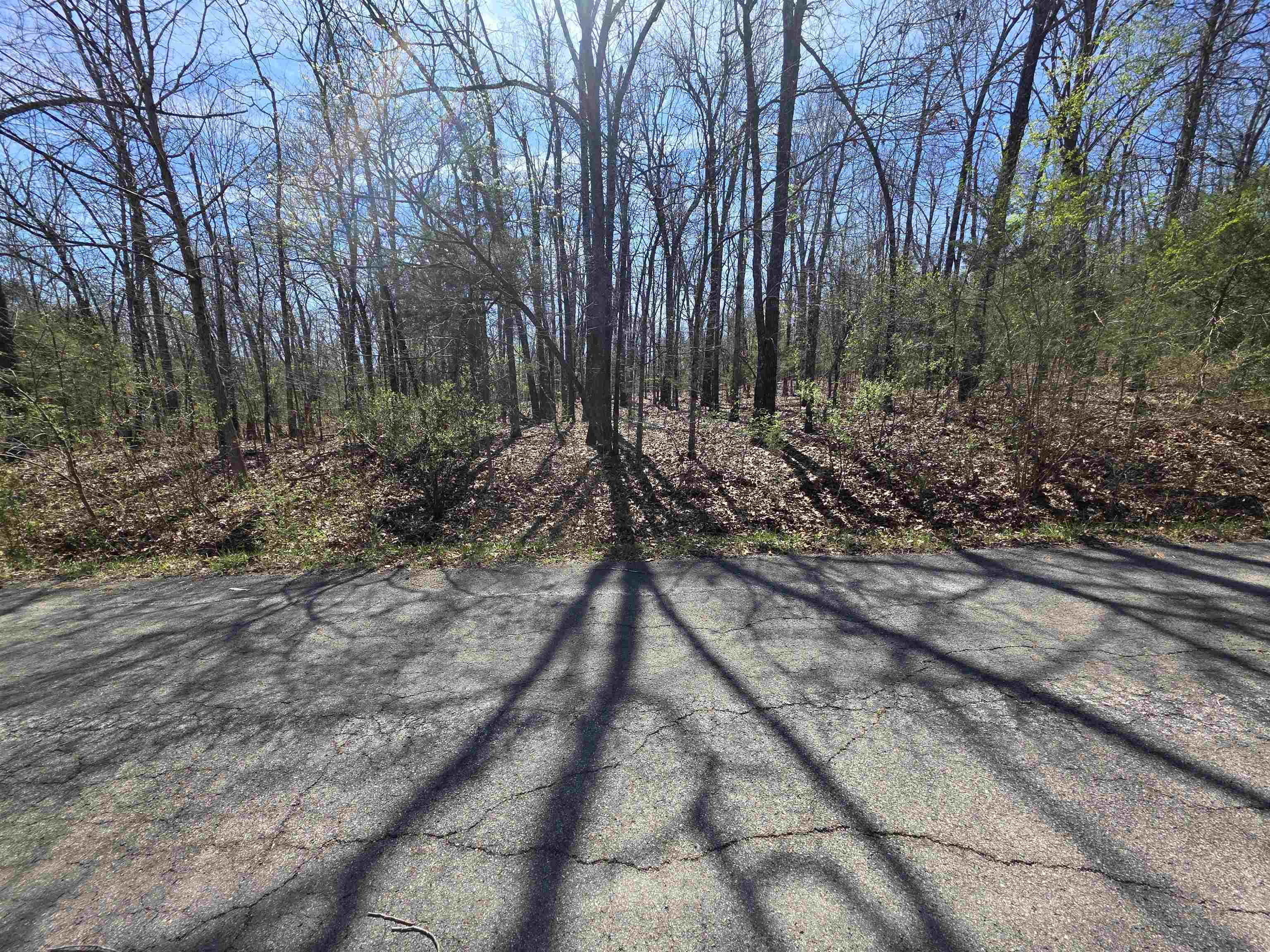 Seminole Second - Land