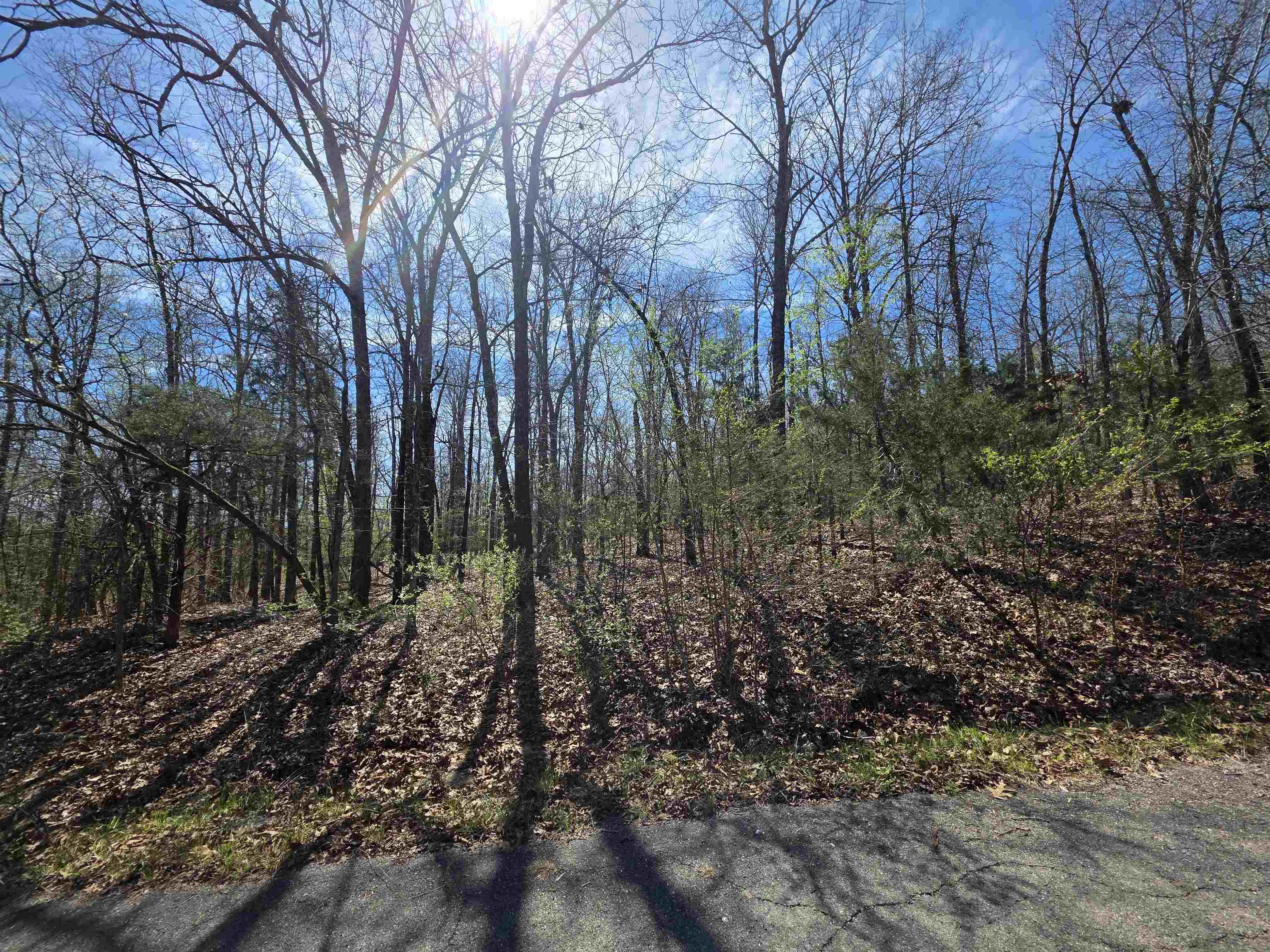 Seminole Second - Land