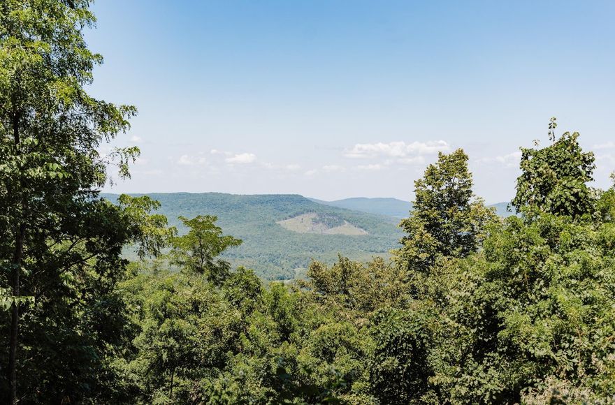 This mountaintop cabin boasts a spectacular view of the Ozark Mountains, prime hunting grounds, and is conveniently located near the Falling Water Recreational Area and The Buffalo National River. It's an ideal haven for those in search of outdoor adventures, a tranquil getaway, or a unique rental/venue opportunity. The cabin has two porches with views of the valley, offering a serene space for relaxation and the perfect spot for observing the area's plentiful wildlife. Property features electricity and several excellent building sites. With some clearing, one could have a panoramic view of the Ozark Mountains! Tailor the cozy cabin to your preferences or construct anew on the existing 20x20 concrete slab located near the cabin. The seller has reduced the price to help the buyer with the costs of drilling a well on this property. This is a must see! Call today for your private showing.