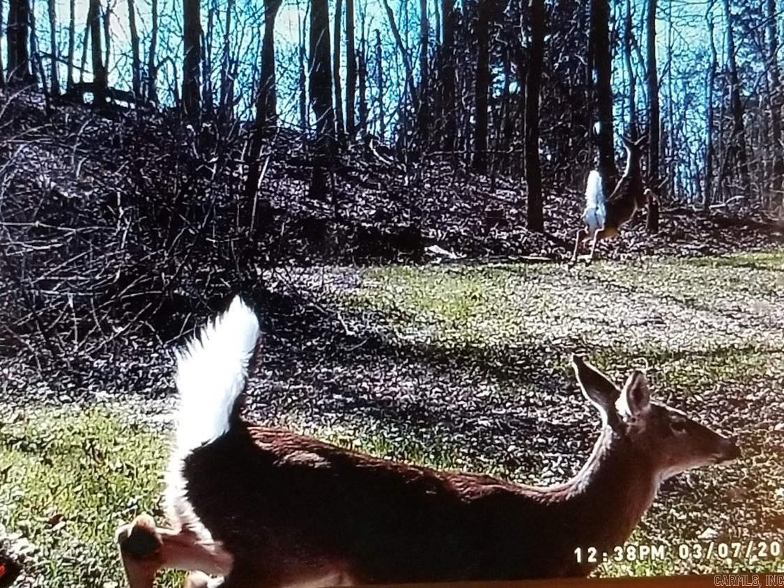 Not in Subdivision - Land