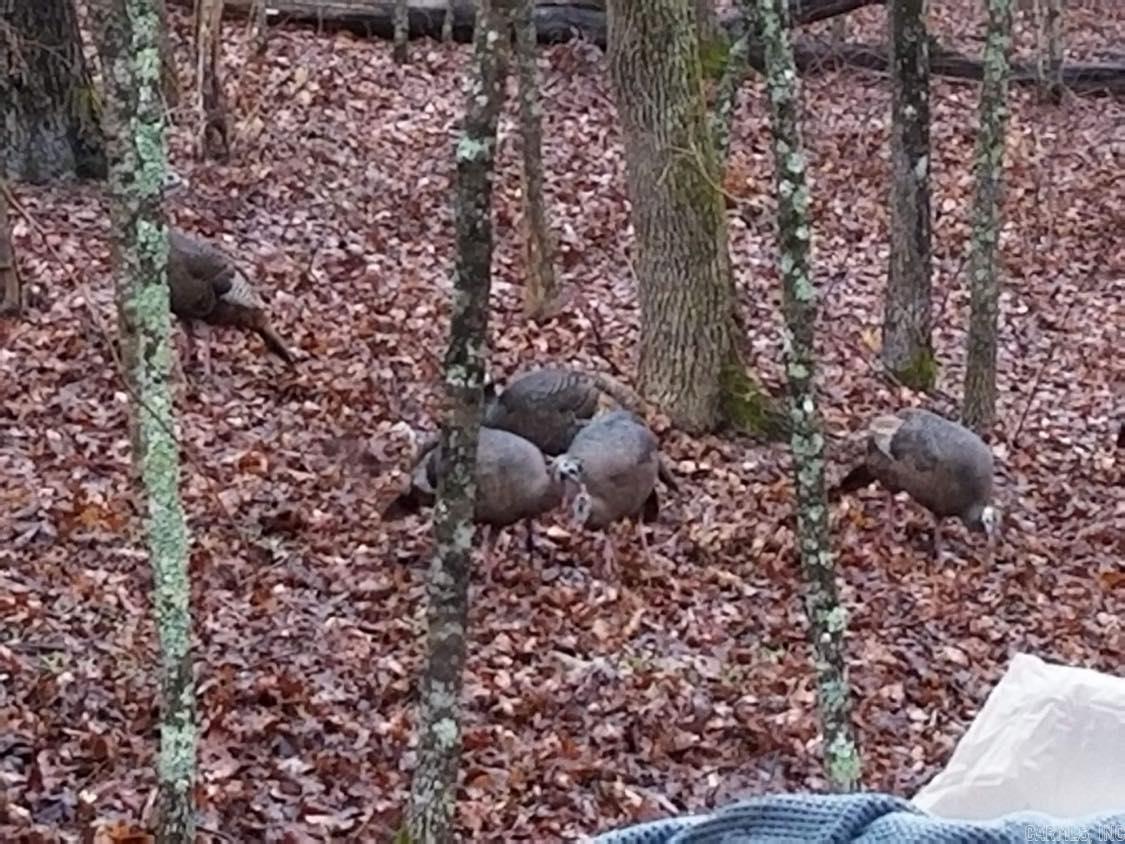 Not in Subdivision - Land