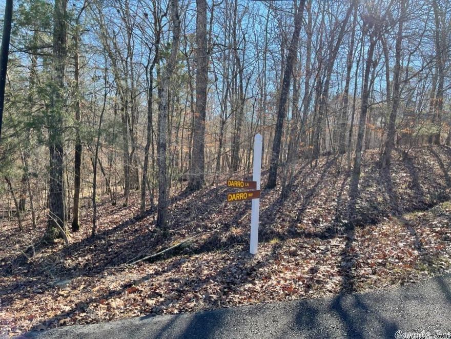 One of the biggest lots in all of the beautiful Diamante Subdivision overlooking the #3 tee box of one of the Golf Digest's top 5 courses in Arkansas.  Club amenities include tennis, pool, clubhouse and driving range   With easy access to the East Gate of HSV, this would be the ideal lot to build your dream home! Seller will pay initiation fee and transfer fee!