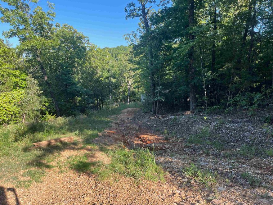 Approx 4.05 +/- acres of unrestricted land off of Slick Rock Road in Hardy! There is a small creek at the bottom of the hill. Mobile home on property holds no value.  There is endless potential for this property, give us a call today to make it yours!