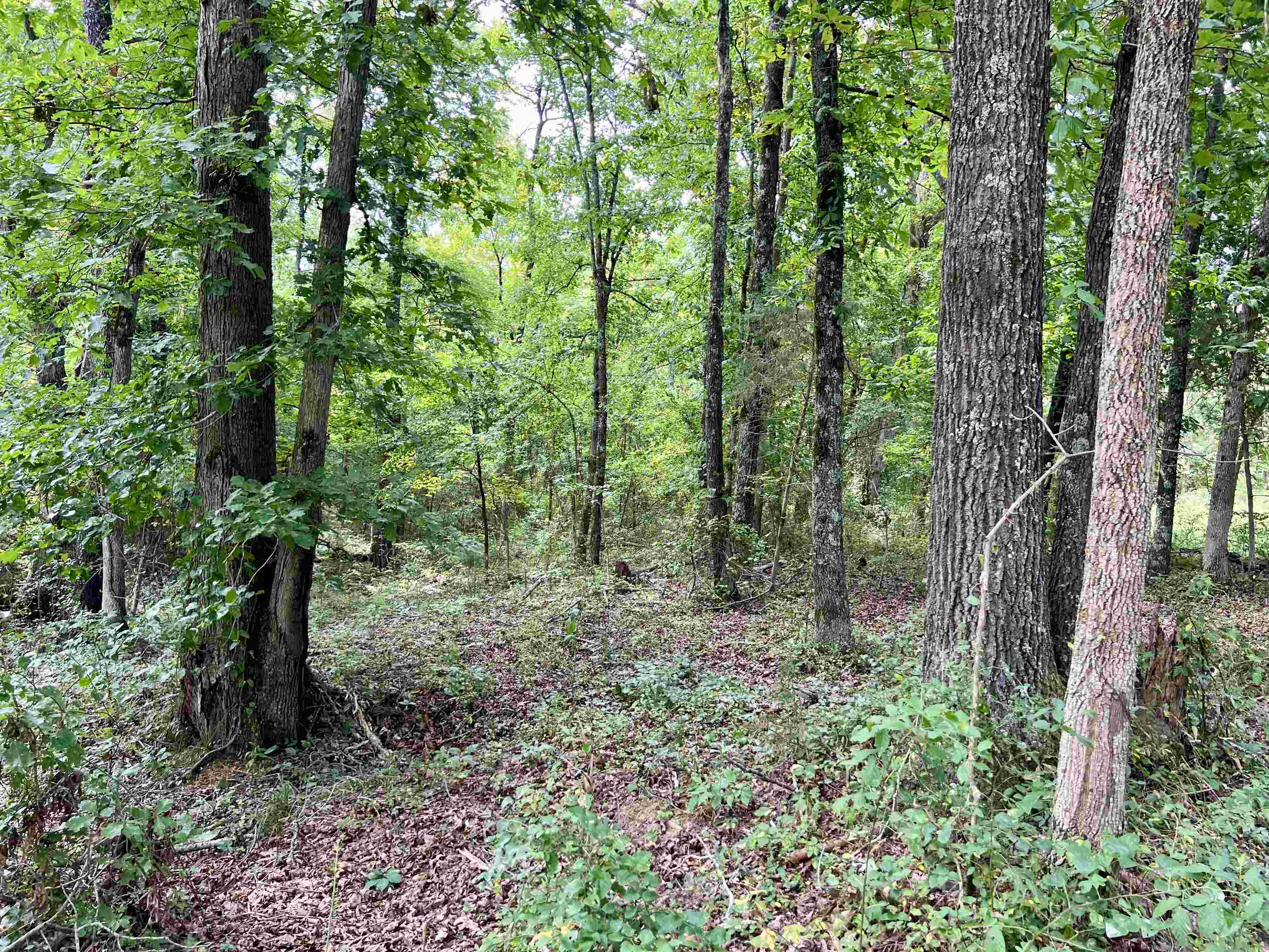 Metes & Bounds - Land