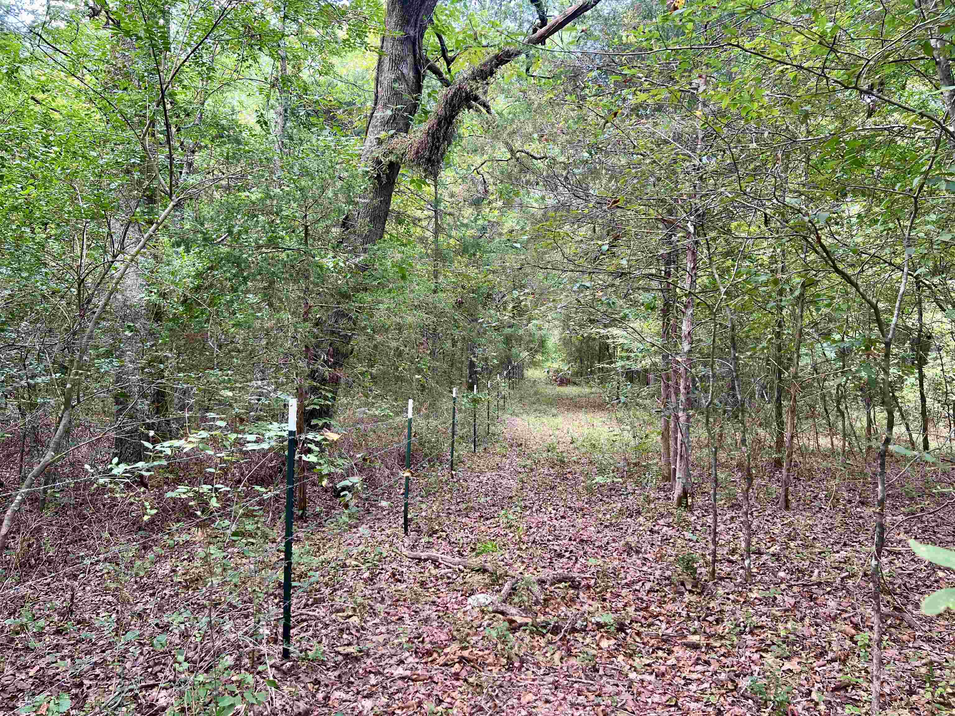 Metes & Bounds - Land