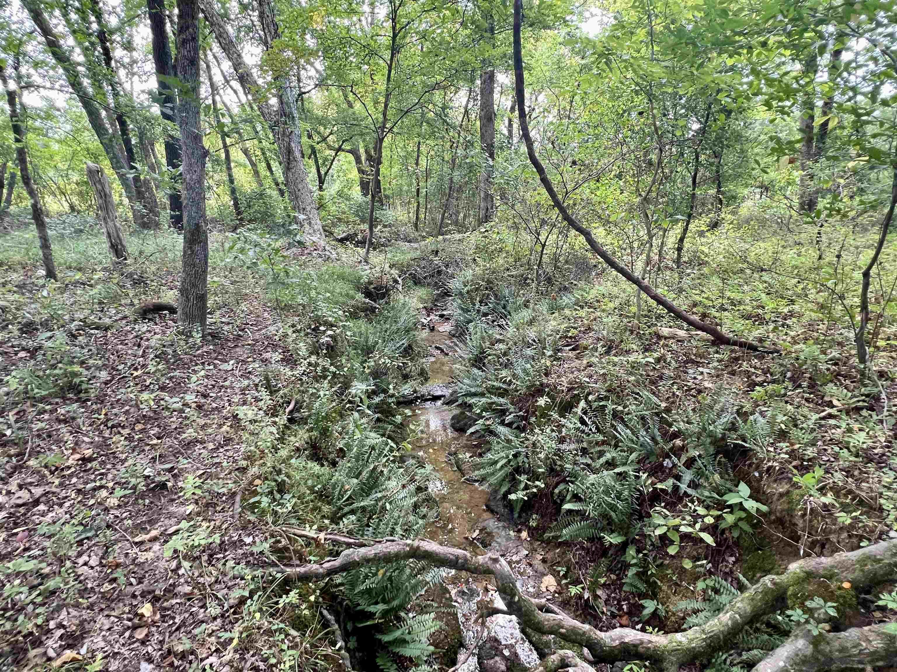 Metes & Bounds - Land