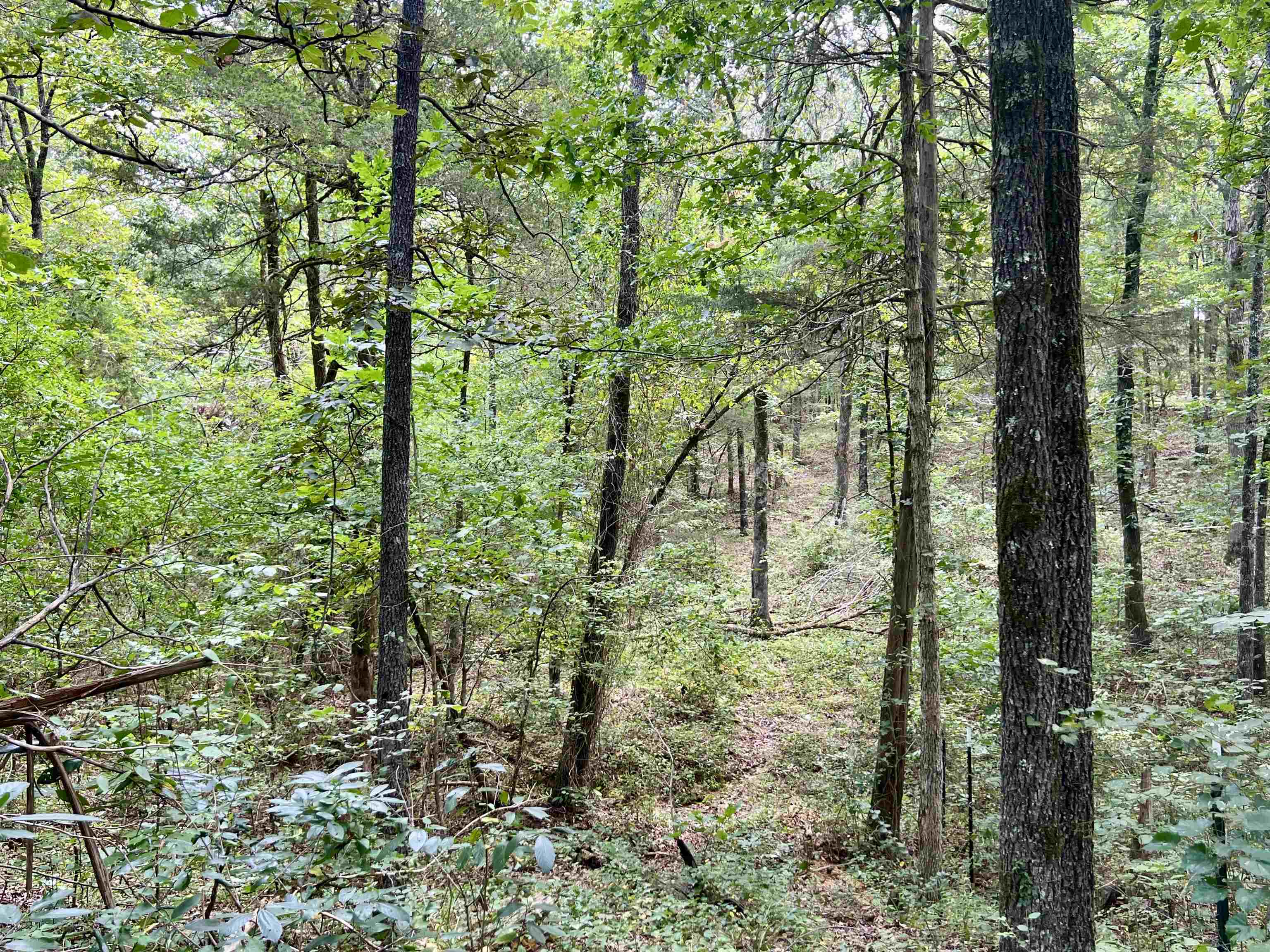 Metes & Bounds - Land