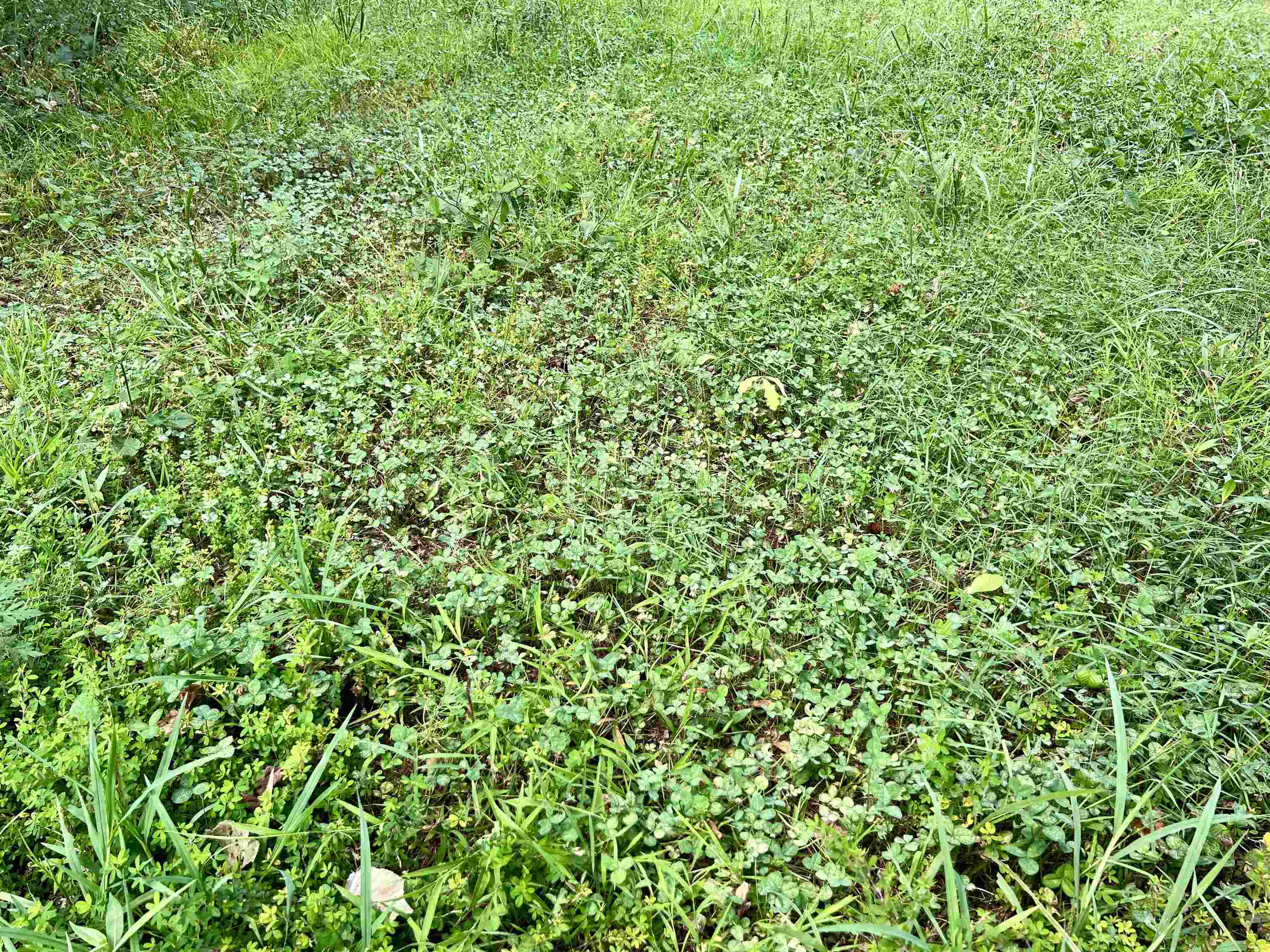 Metes & Bounds - Land