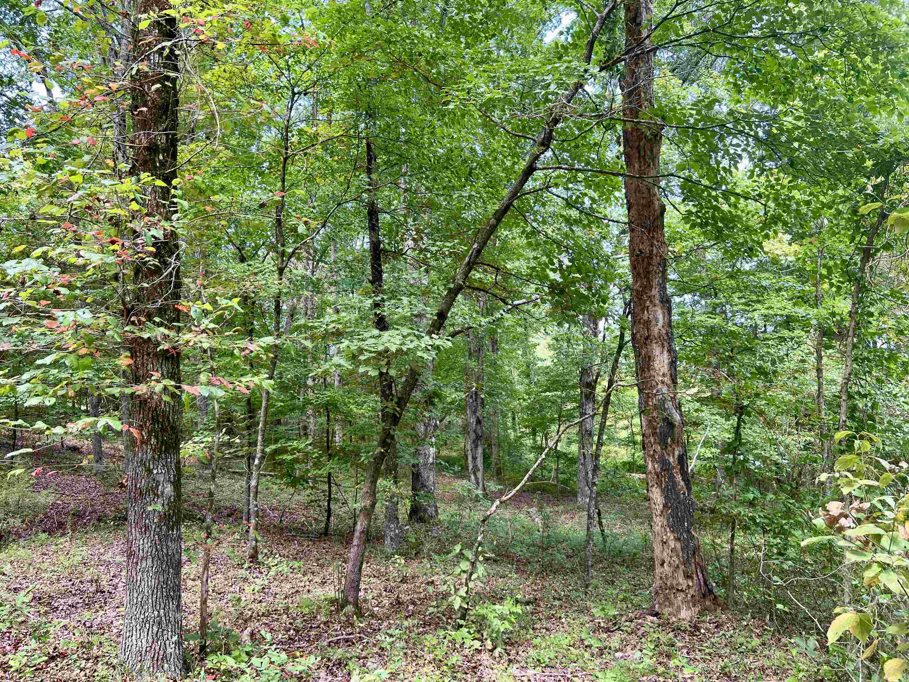 Metes & Bounds - Land