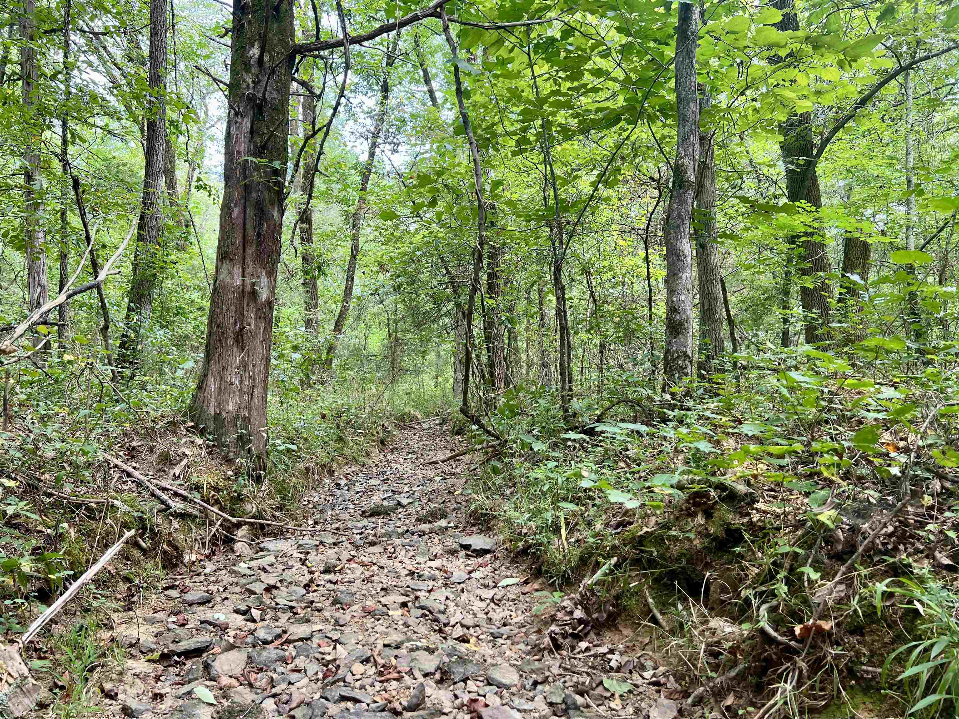 Metes & Bounds - Land