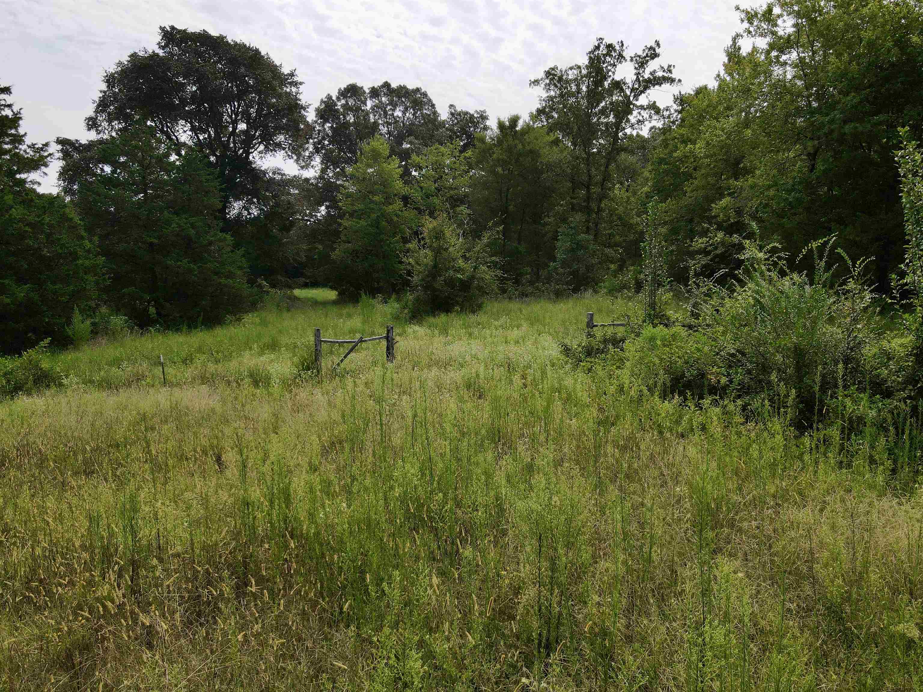 Metes & Bounds - Land