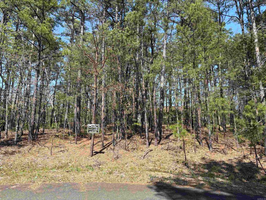 Level wooded lot on a quiet cul-de-sac.