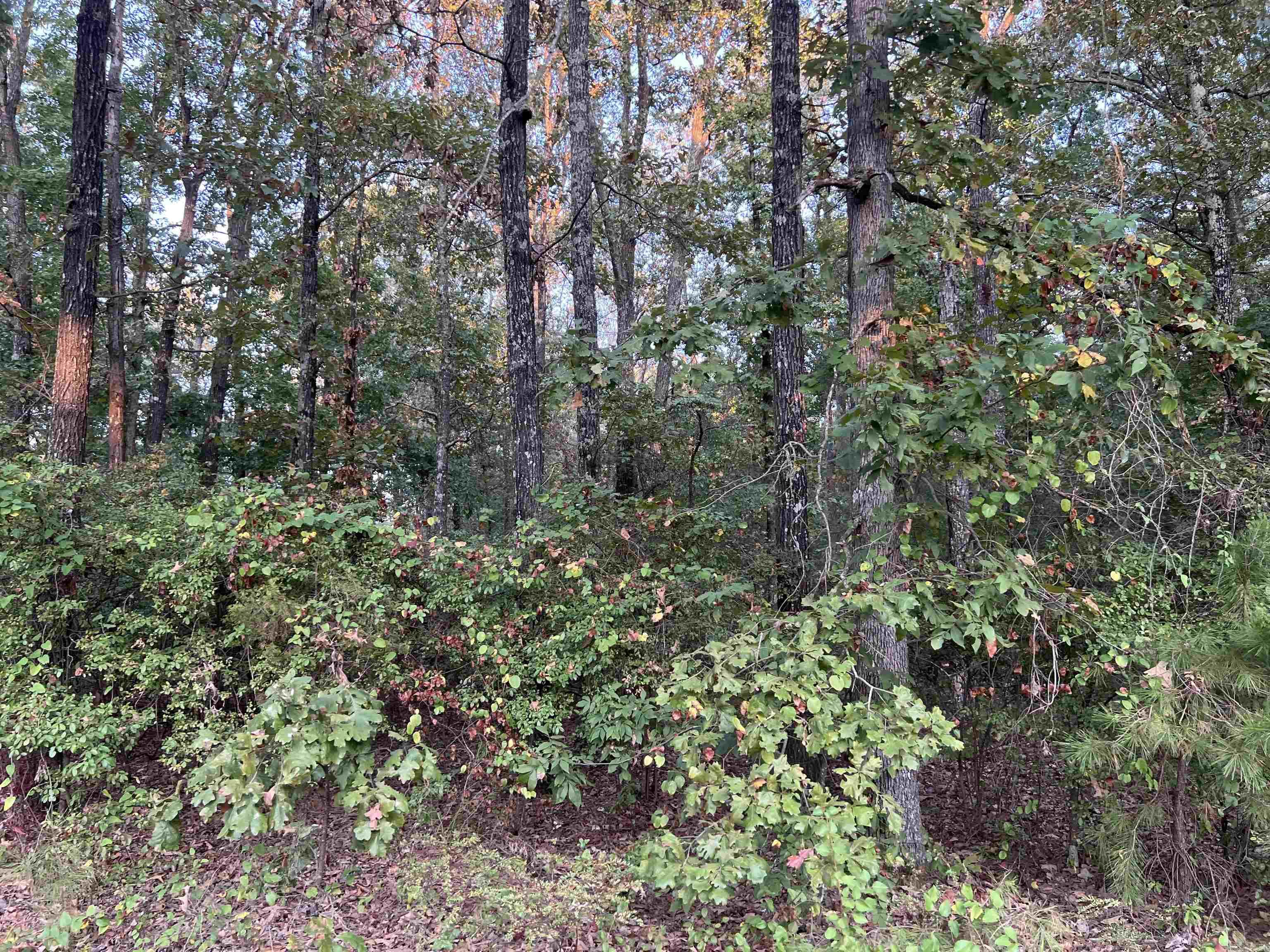 Total of 32 lots located in White Hall School District - totals 2.27 acres- ready for development!