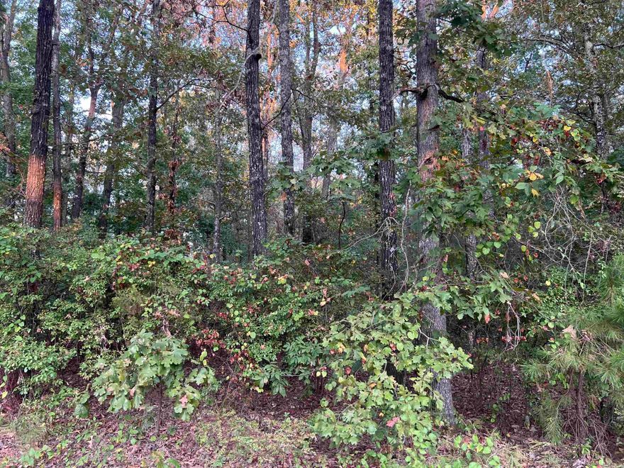 Total of 32 lots located in White Hall School District - totals 2.27 acres- ready for development!