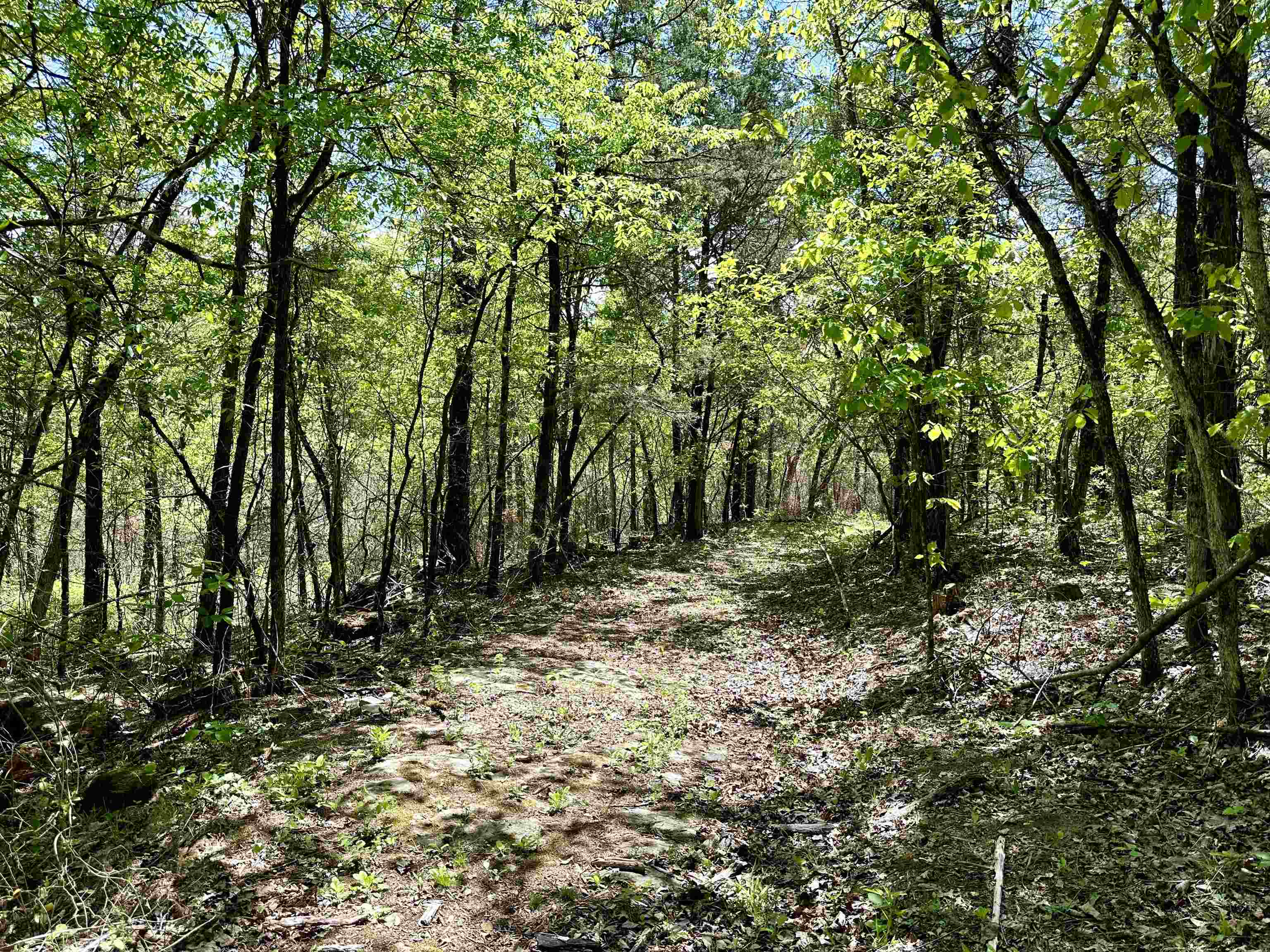 Metes & Bounds - Land