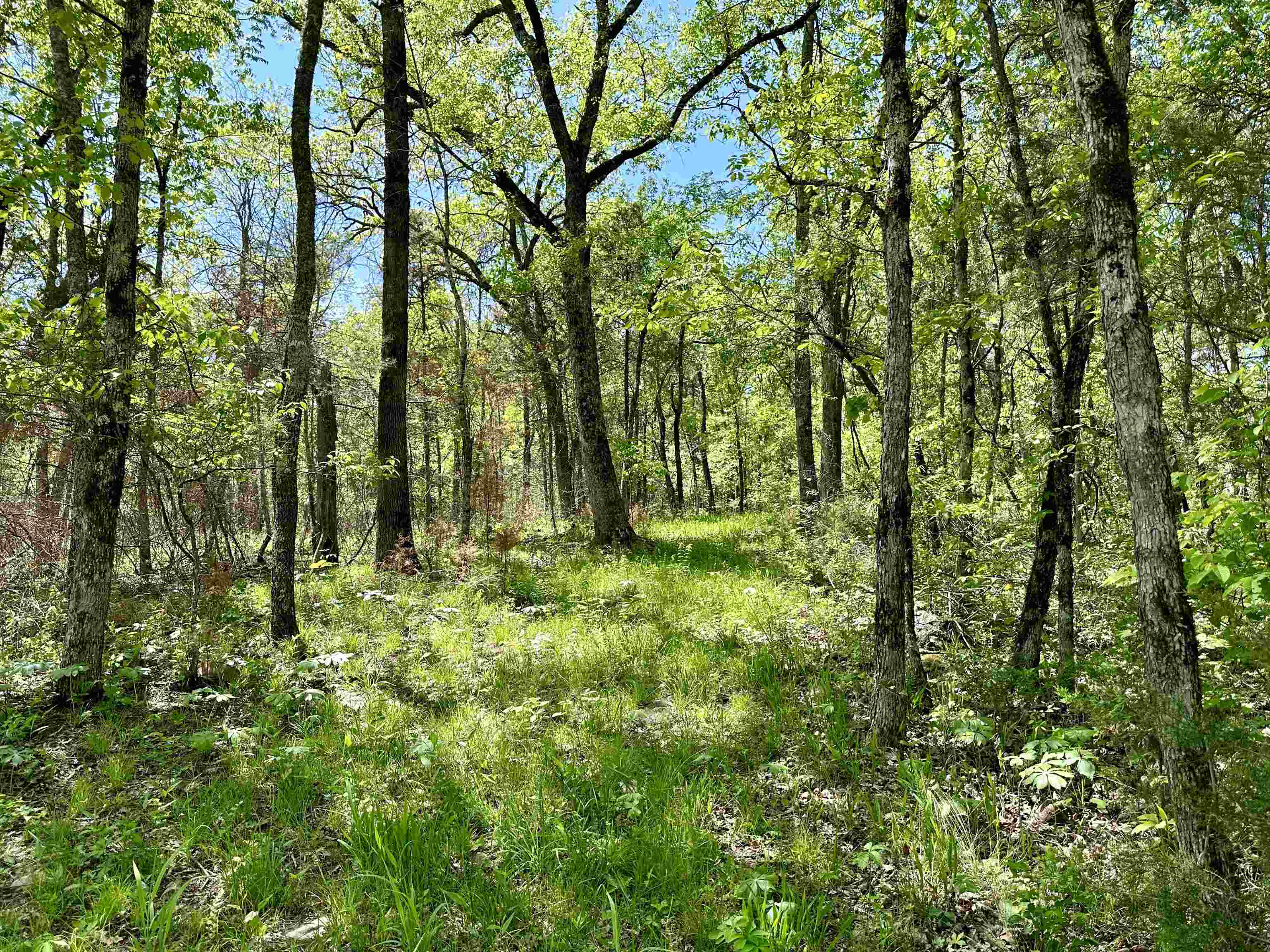 Metes & Bounds - Land