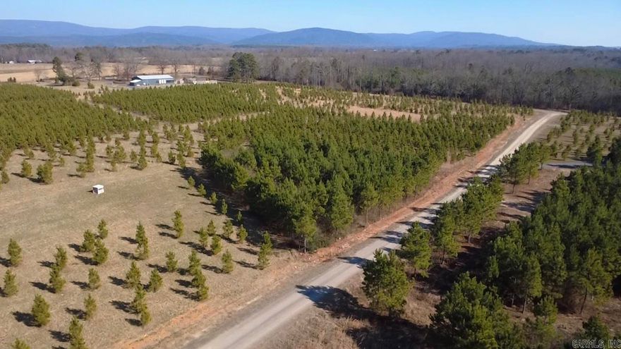 3.01 CLEARED ACRES WITH MOUNTAIN VIEWS NEAR LAKE WILHELMINA! Build your dream home with a view! This 3.01-acre property features a cleared, level building site and beautiful mountain views, all just minutes from Lake Wilhelmina. It’s the perfect blend of scenery, convenience, and build-ready land. Enjoy breathtaking sunsets, fresh mountain air, and endless recreation - mountain views and close to the lake - a rare opportunity!