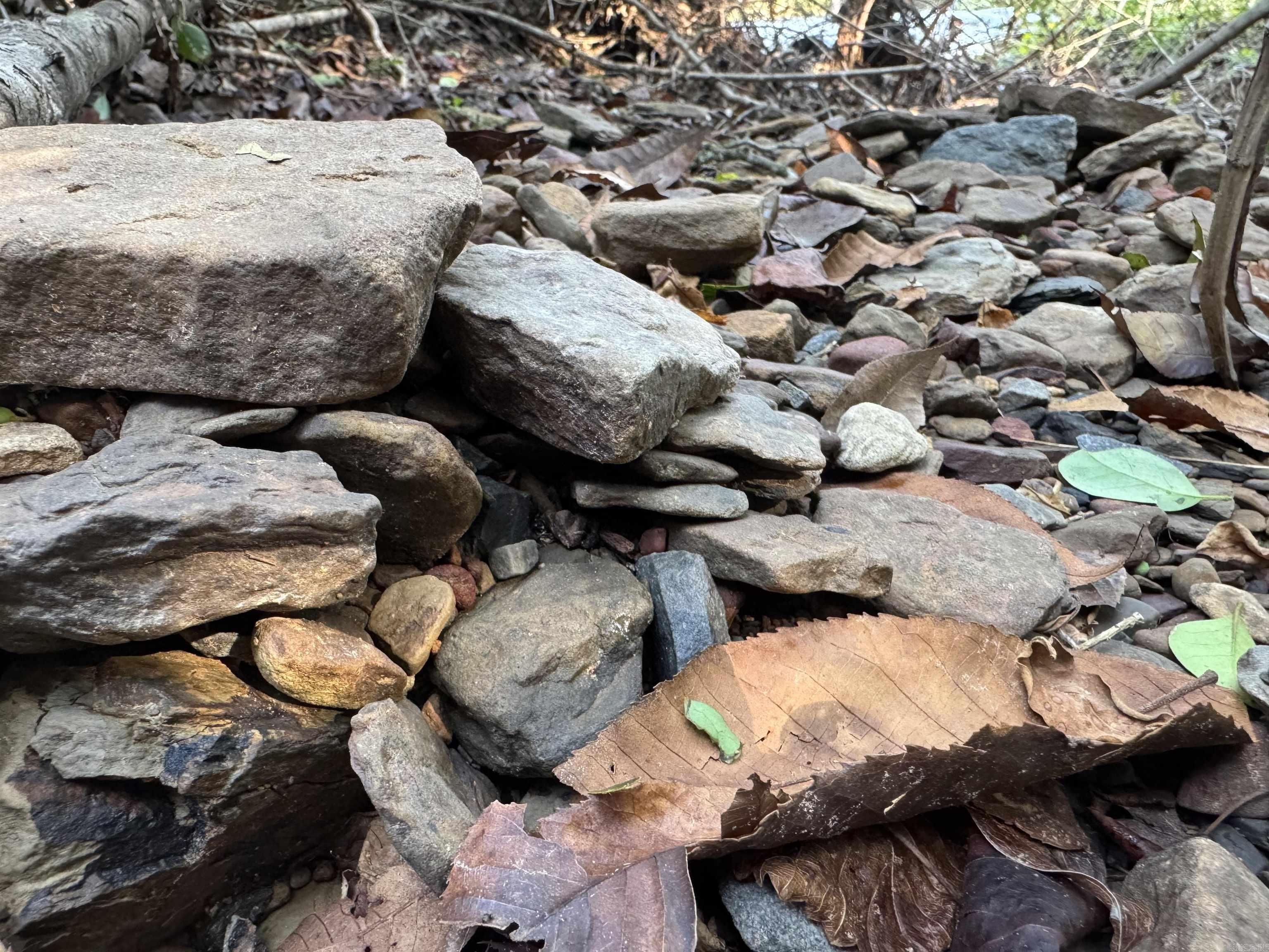 Metes & Bounds - Land