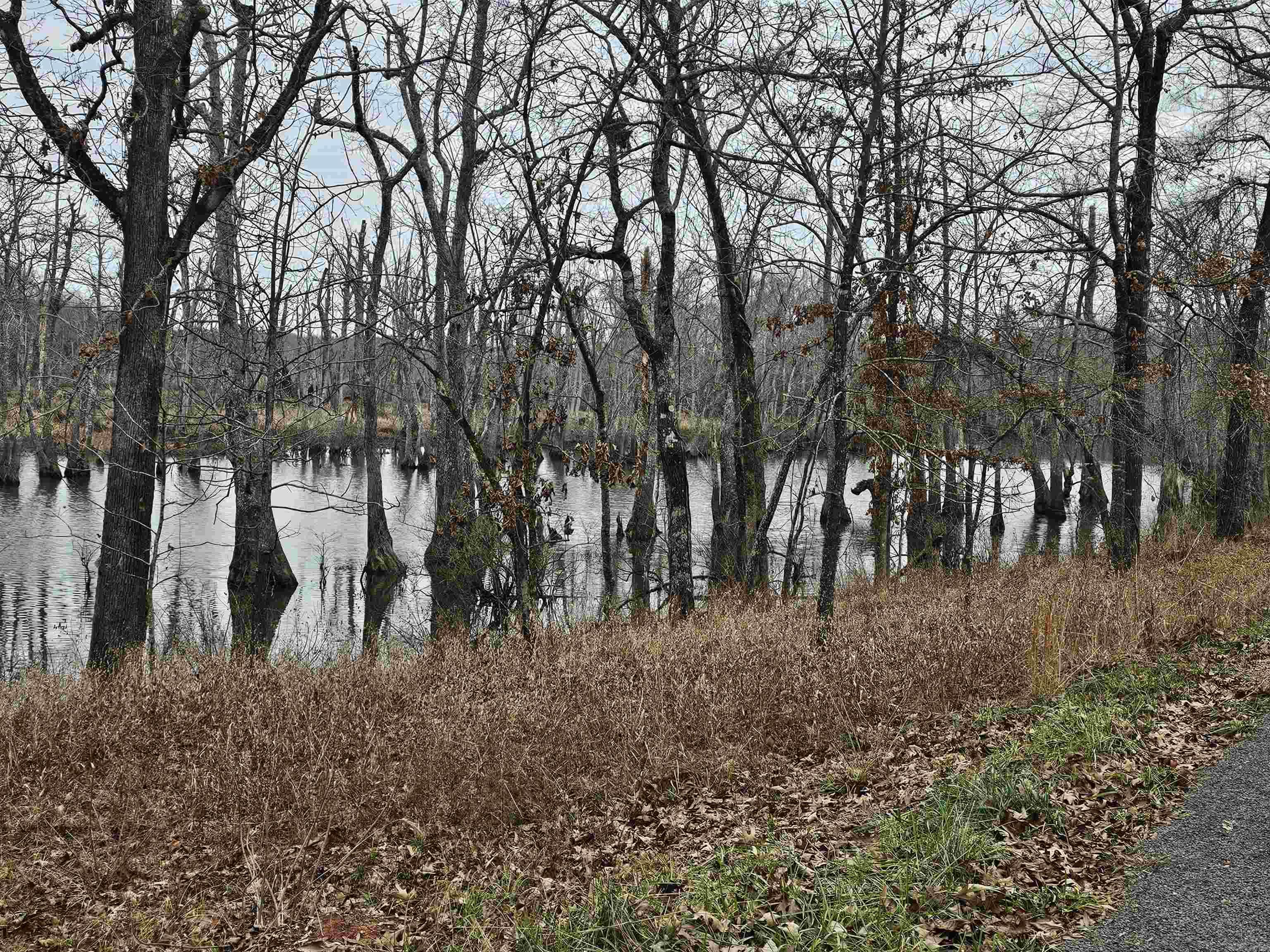 DEVOE BEND ADDITION - Land