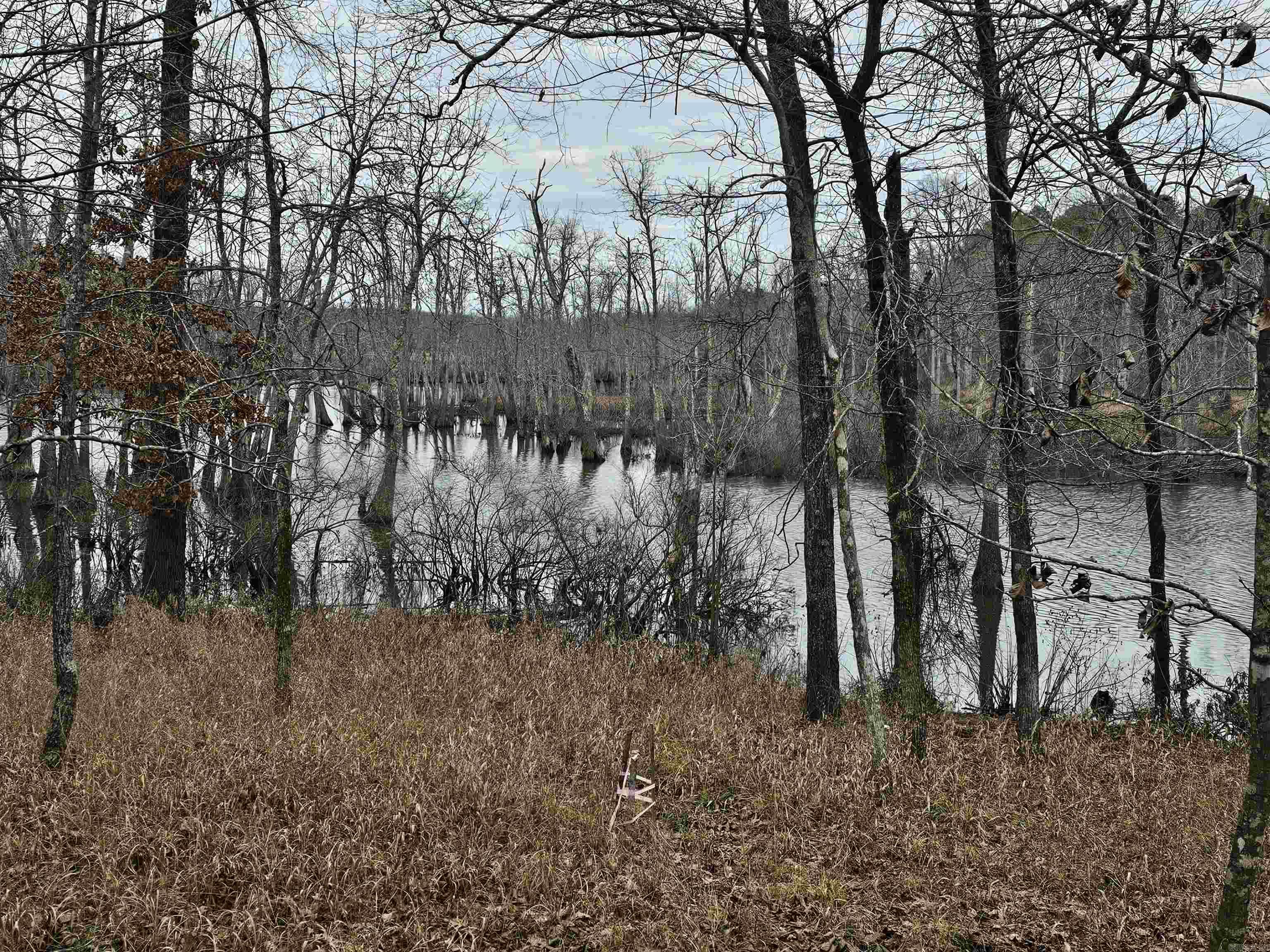 DEVOE BEND ADDITION - Land