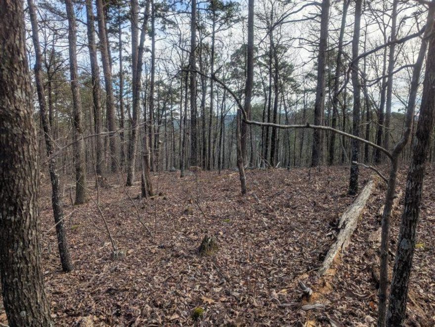 This beautiful vacant lot has many possibilities & would be great for building a home!  A part of the Hot Springs Village POA, it is the largest private, gated community & is home to 11 lakes, 9 professionally designed golf courses that are available to residents year-round, 15 professionally surfaced tennis courts, fishing, boating, water sports, 30 miles of walking trails, more than 200 clubs & additional activities for all ages.  Only 2 mins away from Lake Desoto & 7 mins away from Lake Cortez.