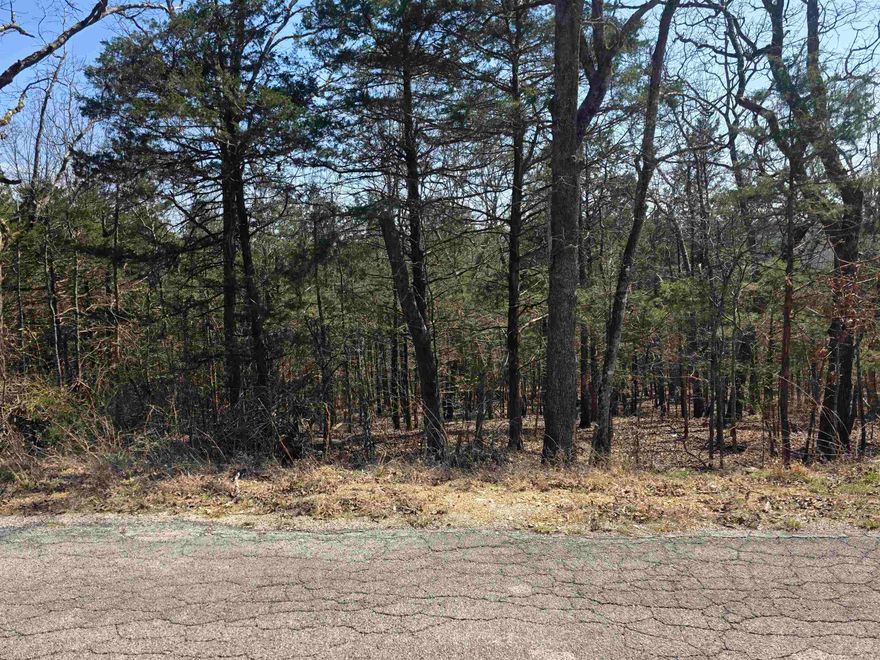 Nice lot with a front to back downward slope. Lots of trees and lots of nature and wildlife. Come check this lot out, check out the view and see where you want to put your vacation home or your forever home. Retire here and fish 7 different lakes and golf 2 different 18-hole golf courses. Don't forget about the beautiful South Fork River that flows right through the Village. Shop in Old Hardy town and trout fish the Spring River. That's living the Cherokee Village lifestyle.