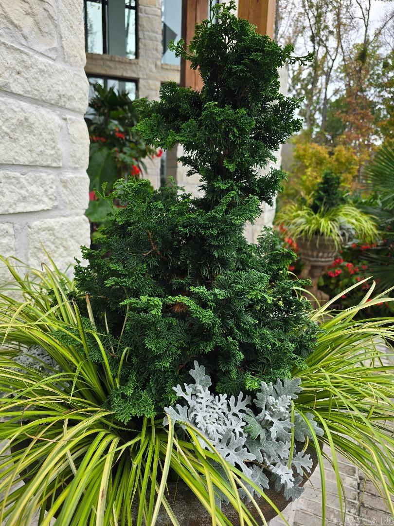 CHENAL VALLEY HALLEN COURT - Residential