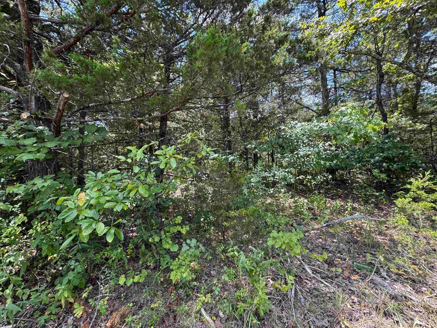 Prime Golf Course Lot on #13 Tee Box Build your dream home on this exceptional, level lot located directly on the 13th tee box of the beautiful Turkey Mountain Golf Course. This prime location offers fantastic views and the convenience of being build-ready with city water and sewer access available. A rare opportunity for any golf enthusiast or anyone seeking a scenic and peaceful setting. Don't miss out!