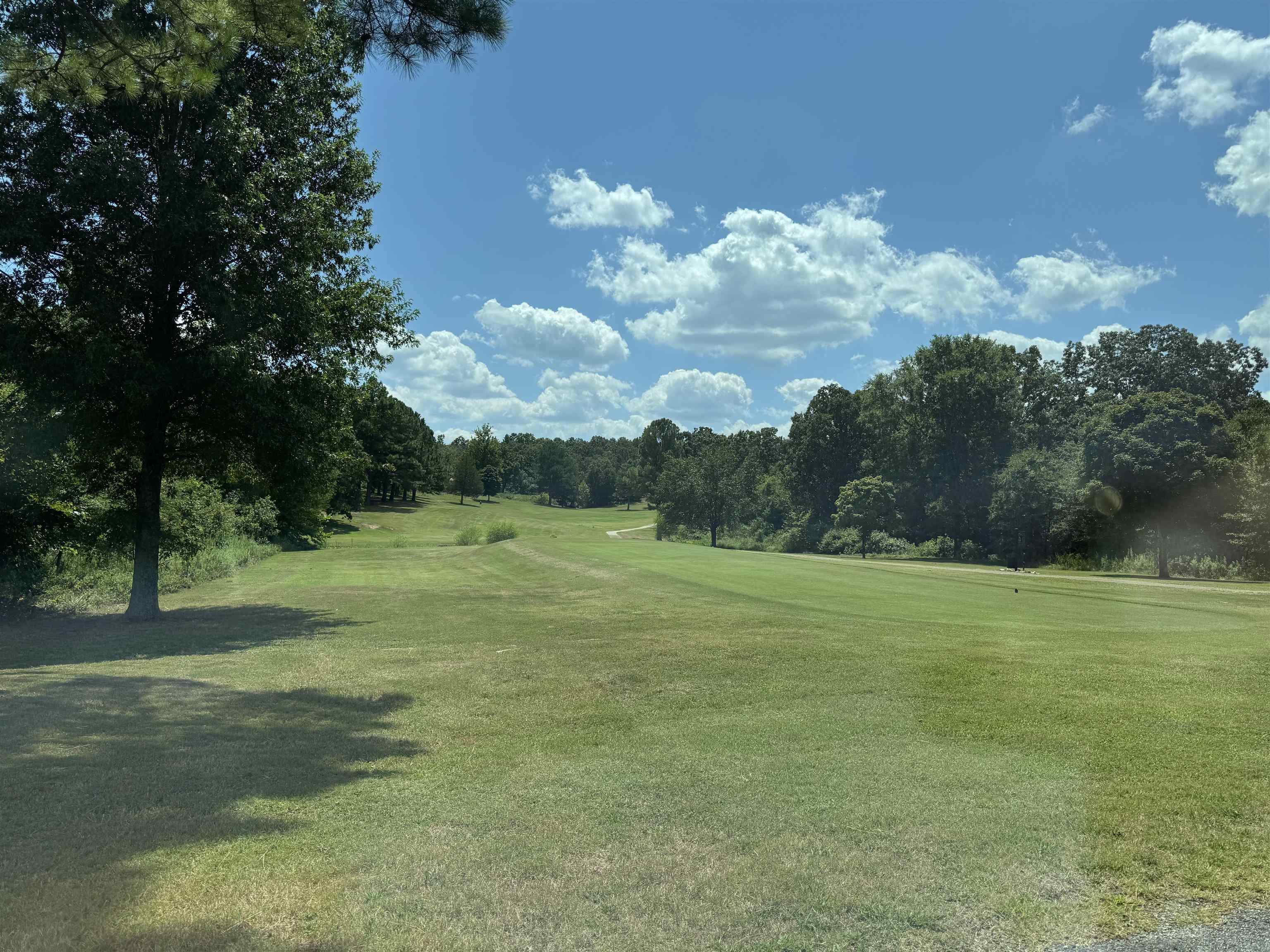Prime Golf Course Lot on #13 Tee Box Build your dream home on this exceptional, level lot located directly on the 13th tee box of the beautiful Turkey Mountain Golf Course. This prime location offers fantastic views and the convenience of being build-ready with city water and sewer access available. A rare opportunity for any golf enthusiast or anyone seeking a scenic and peaceful setting. Don't miss out!