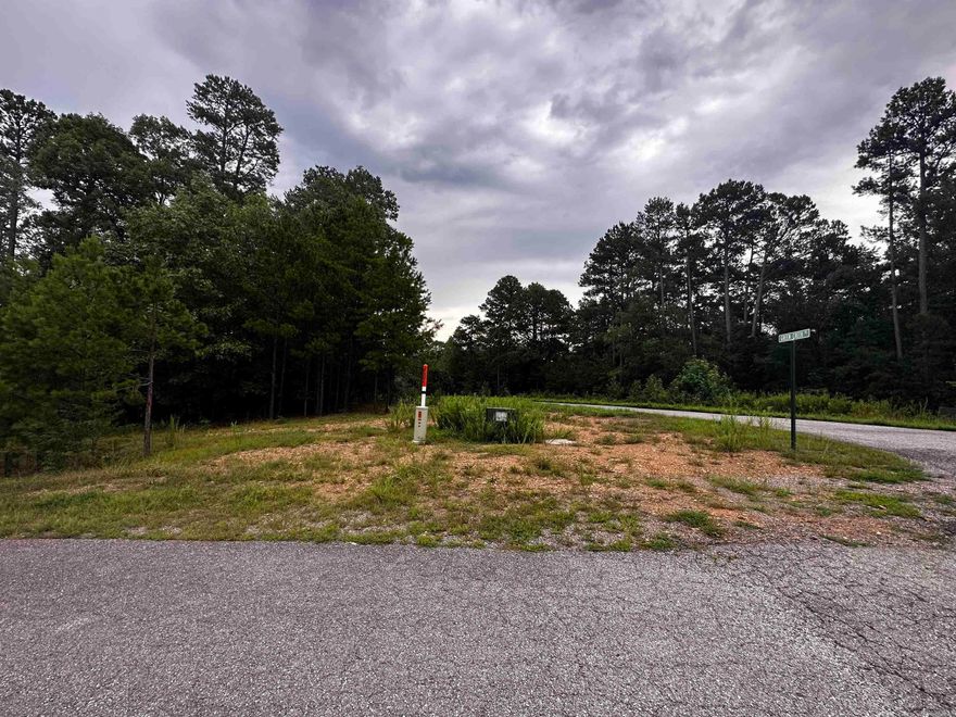 Great Neighborhood to build your dream home at the lake. Undergrounds utilities already in place! Gorgeous corner lot!  Mineral rights do not convey.