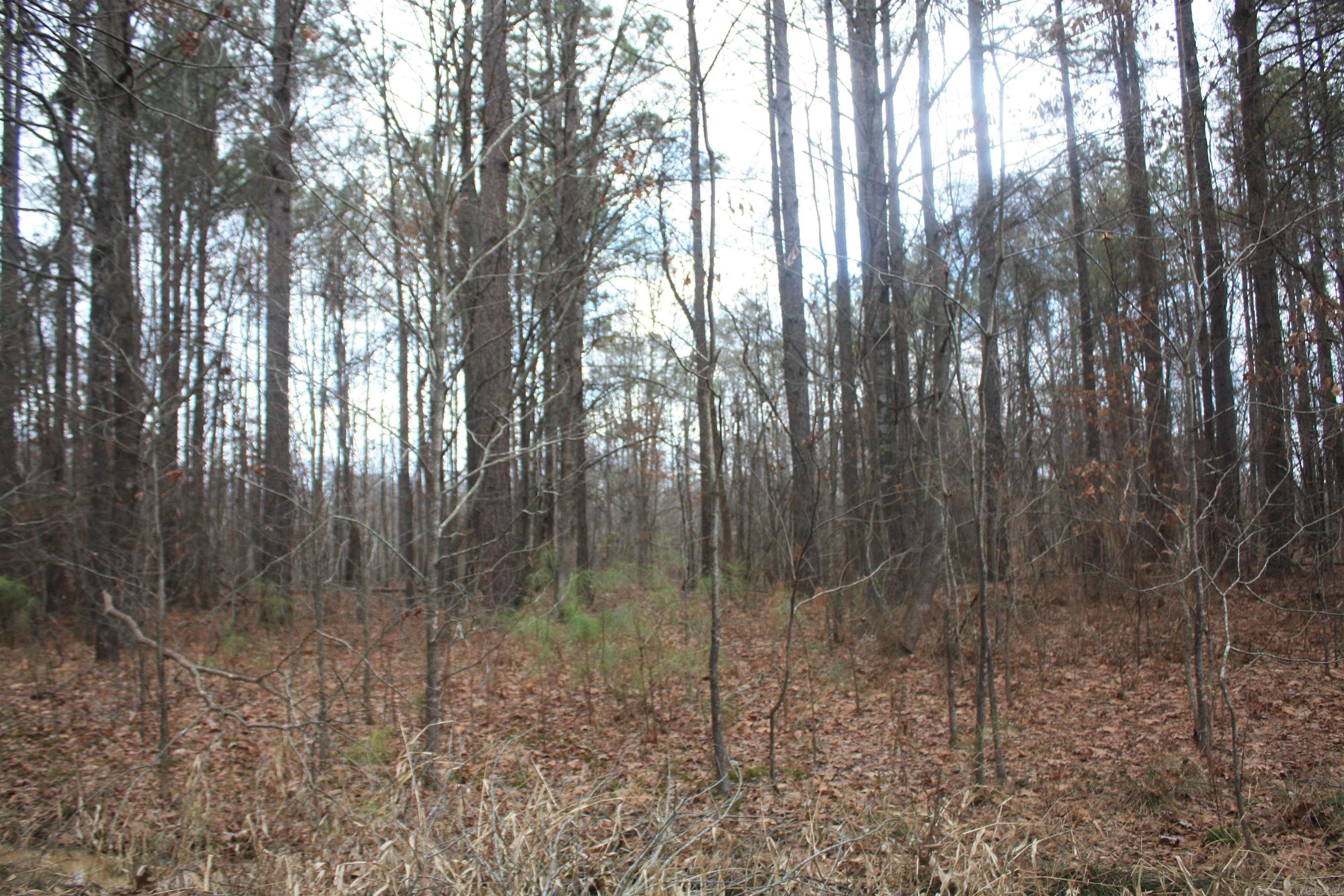 Not in Subdivision - Land