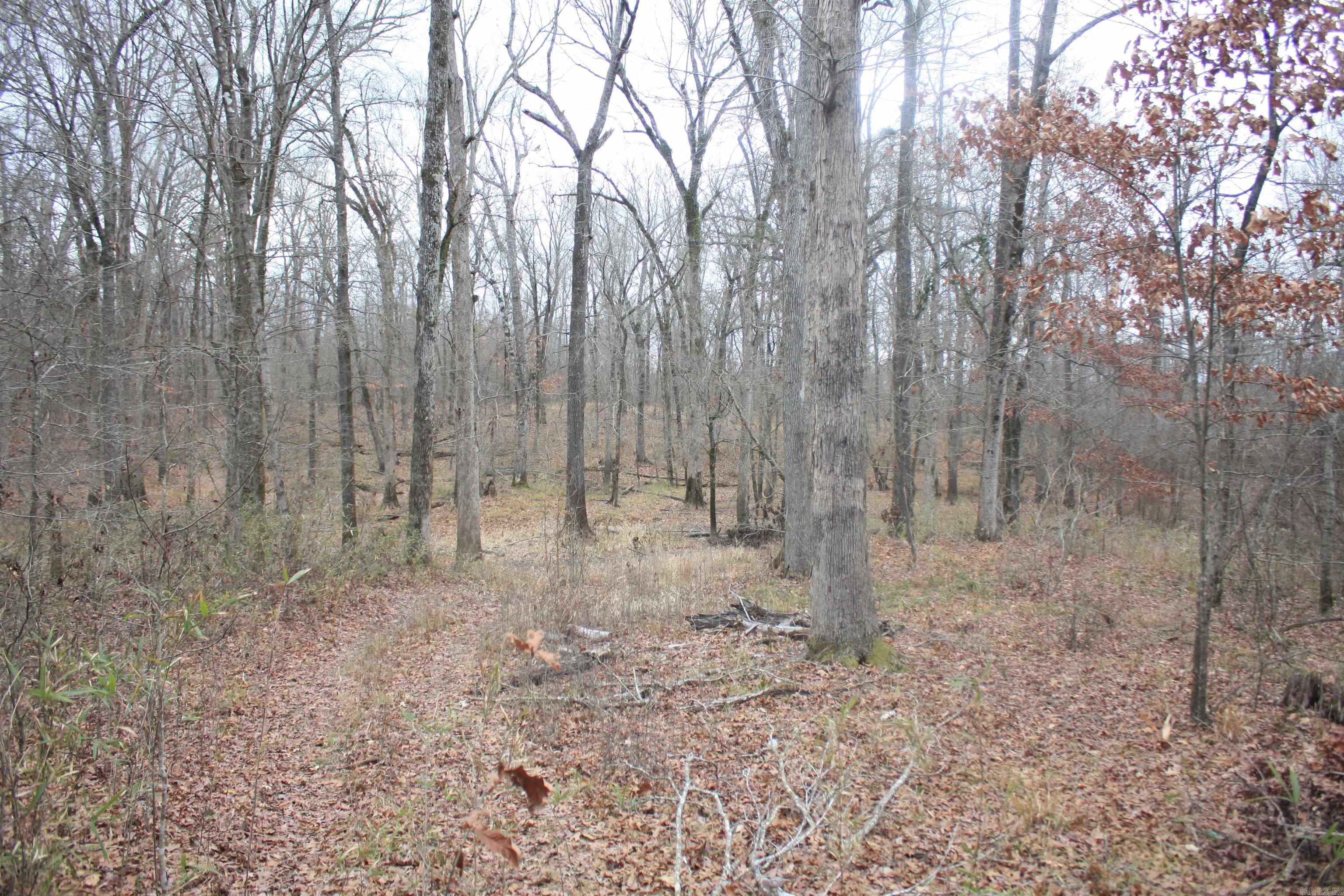 Not in Subdivision - Land