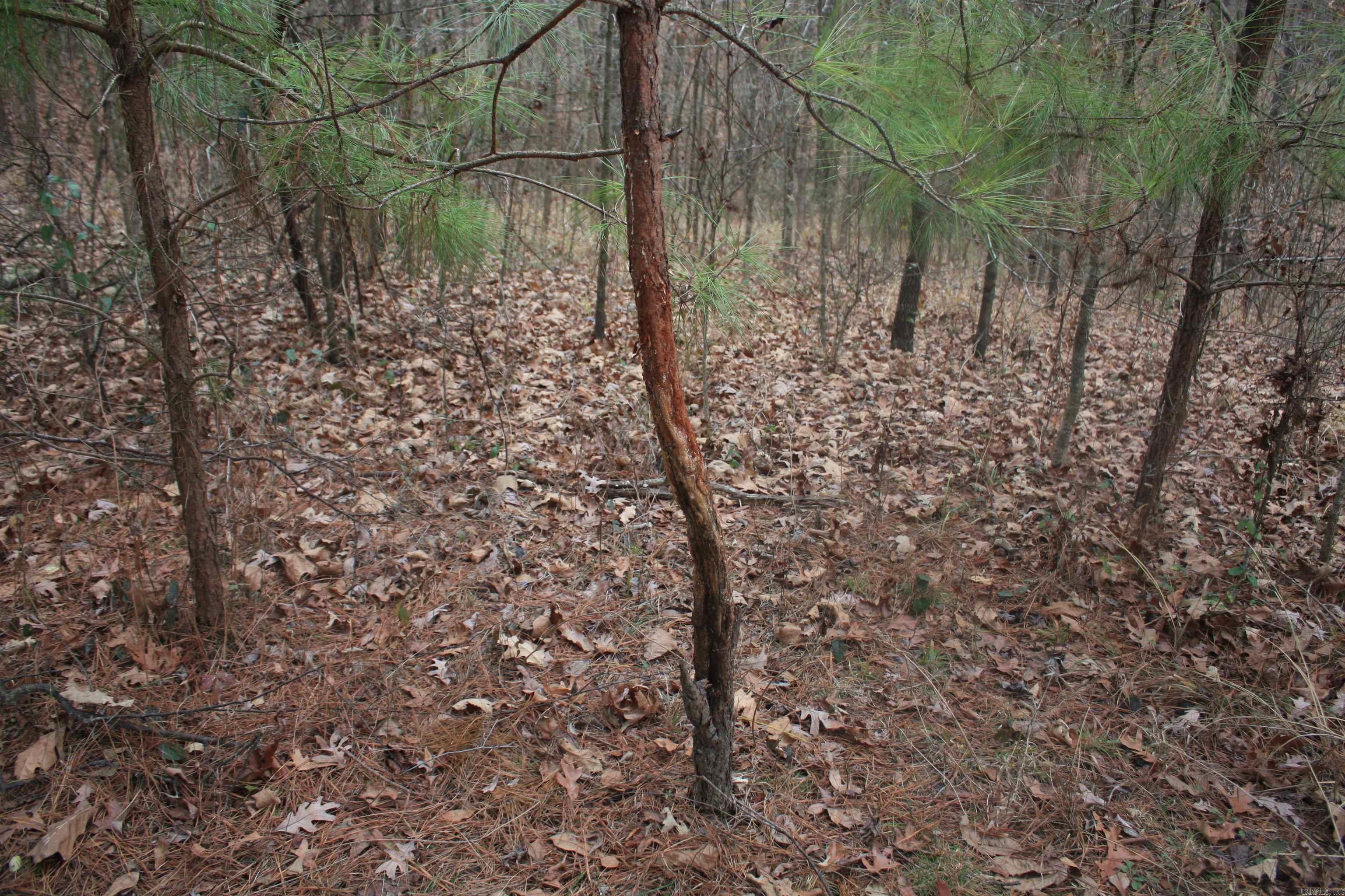 Not in Subdivision - Land