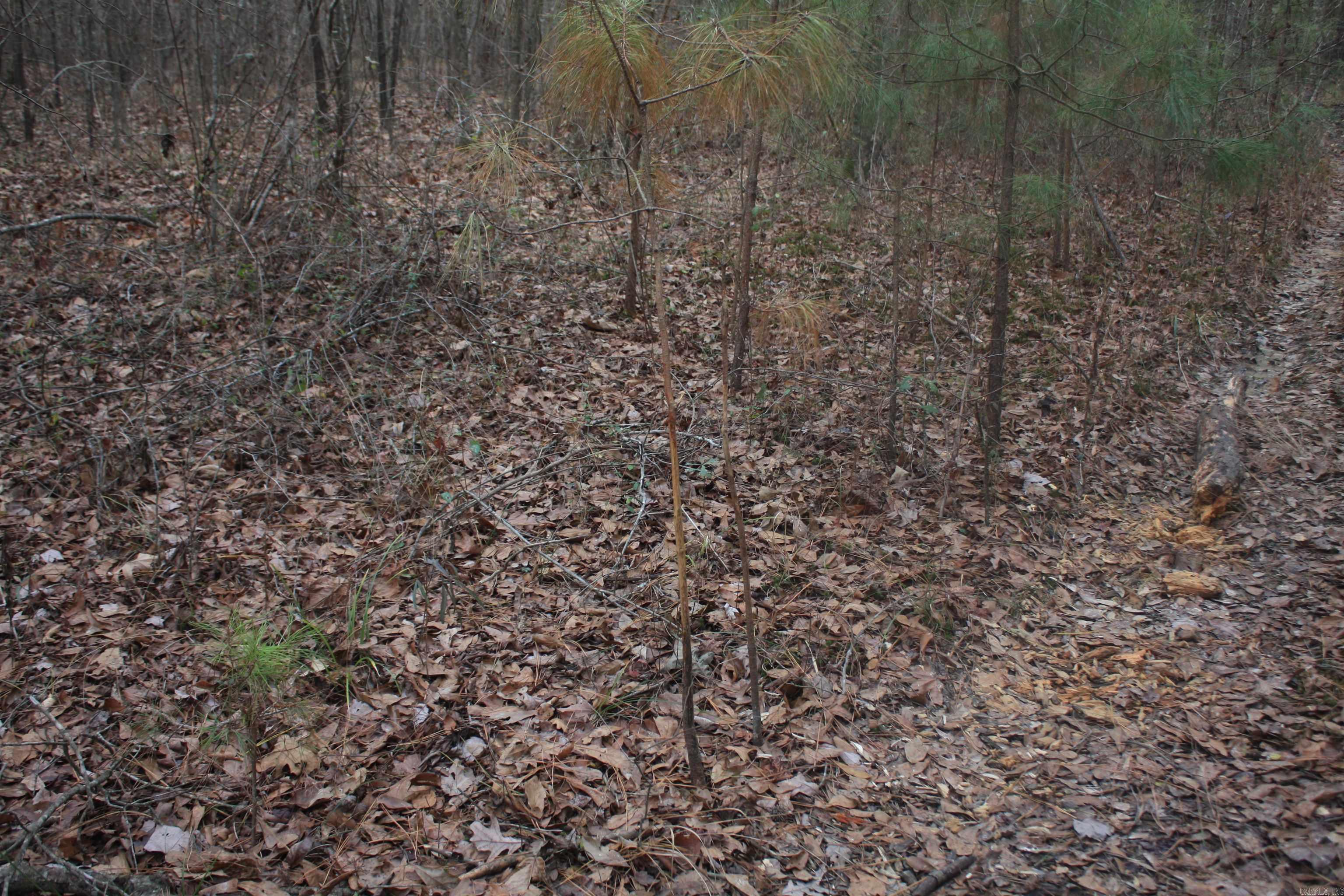 Not in Subdivision - Land