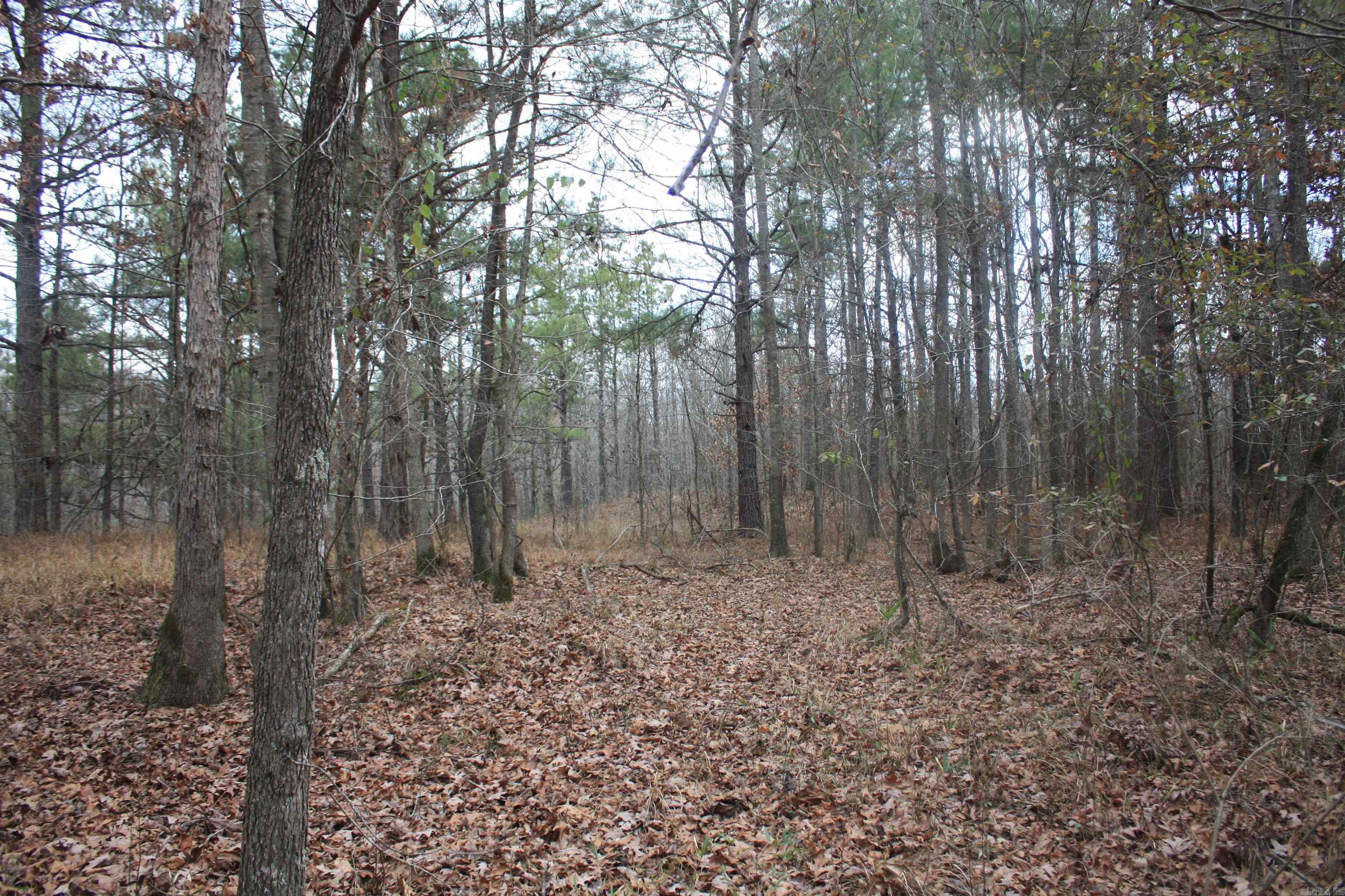 Not in Subdivision - Land