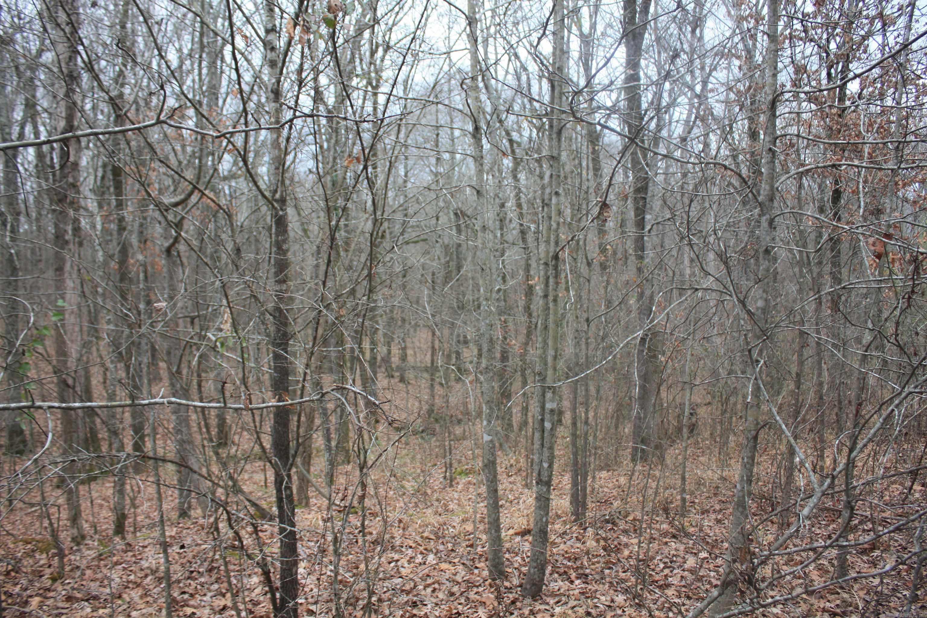 Not in Subdivision - Land