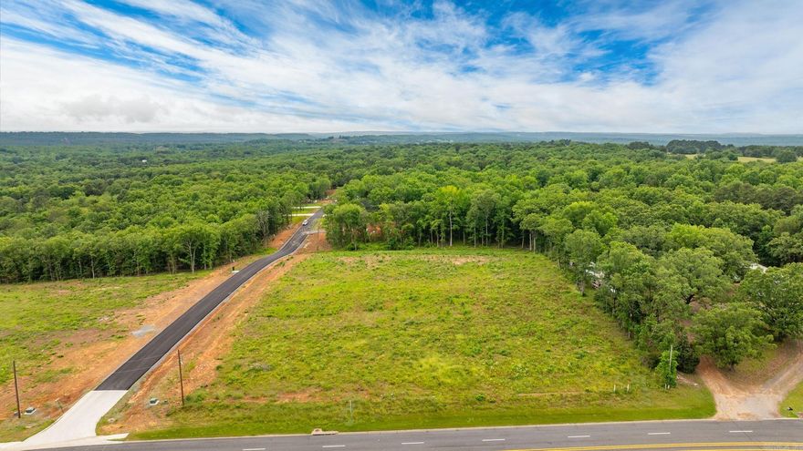 High Visibility location on Hwy 65 with a high traffic count. One acre parcels available that could be combined for up to 3 acres together. 6 acres total commercial land available. Sky Eagle Drive divides the two 3 acre parcels. Outside of the city limits with no restrictions. Property is cleared and ready to build