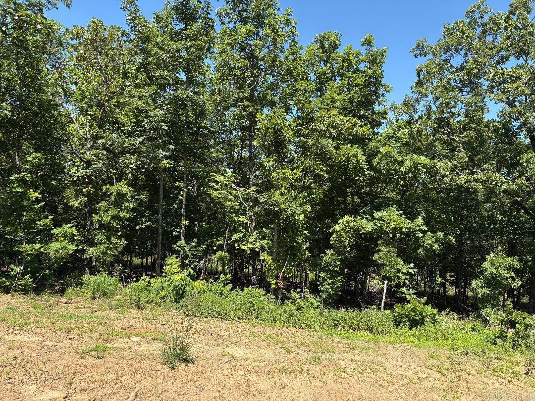 7 LAKES RANCH ESTATES PHASE 1 - Land