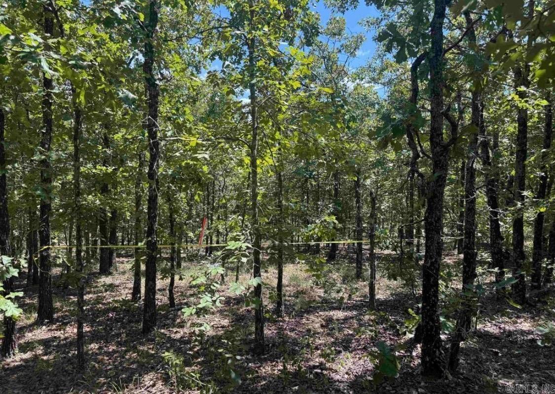 7 LAKES RANCH ESTATES PHASE 1 - Land